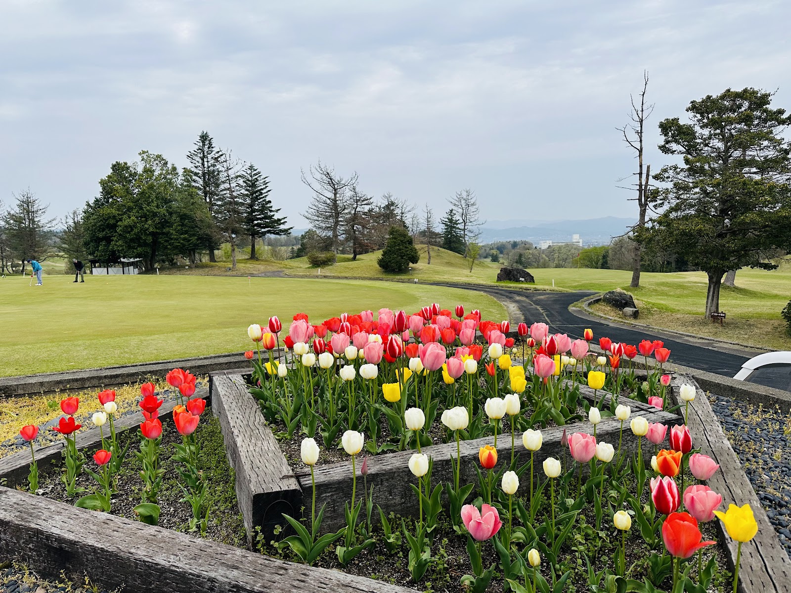 Senbaira Golf Club - 5