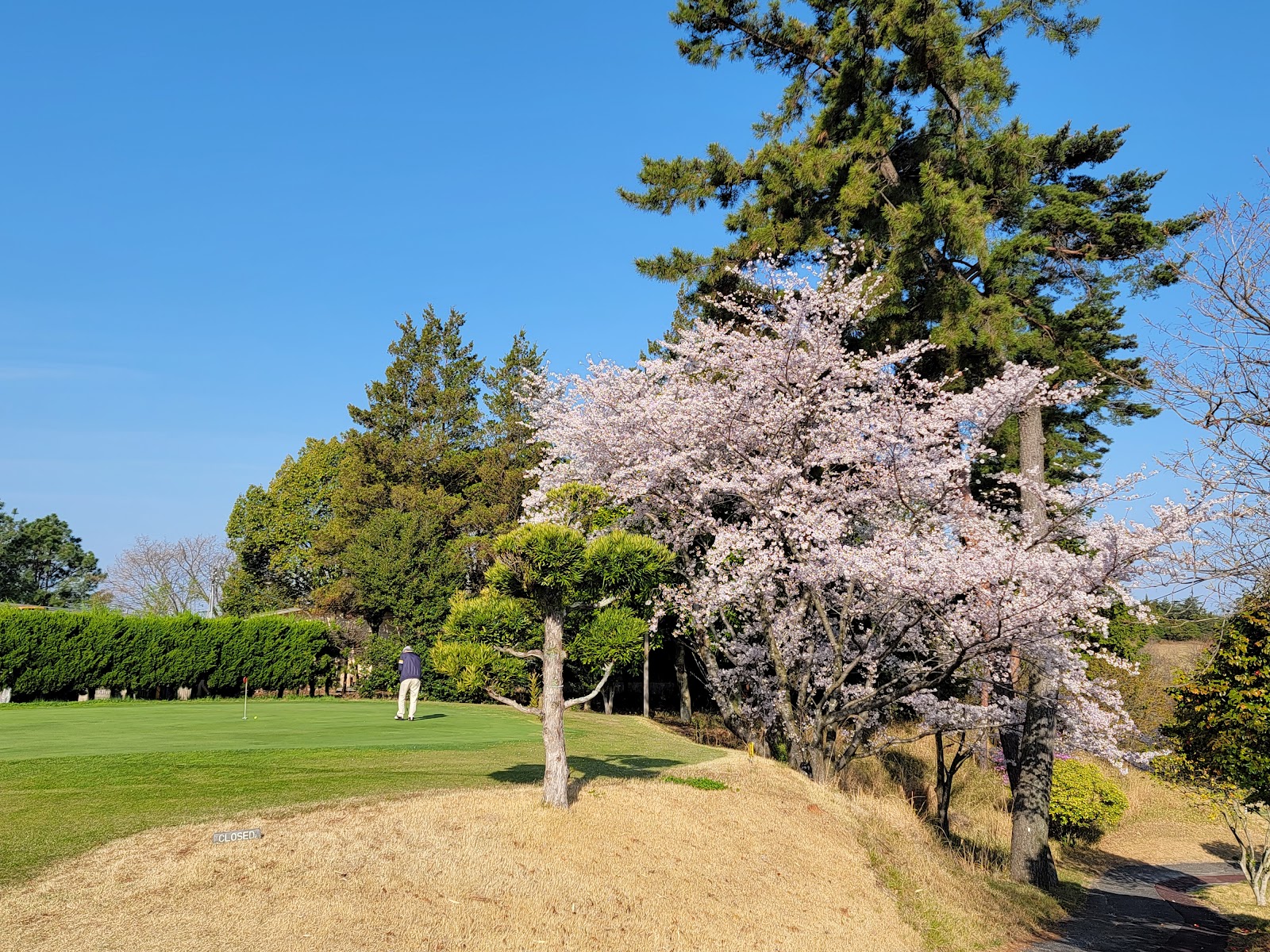 Kasaoka Country Club - 6