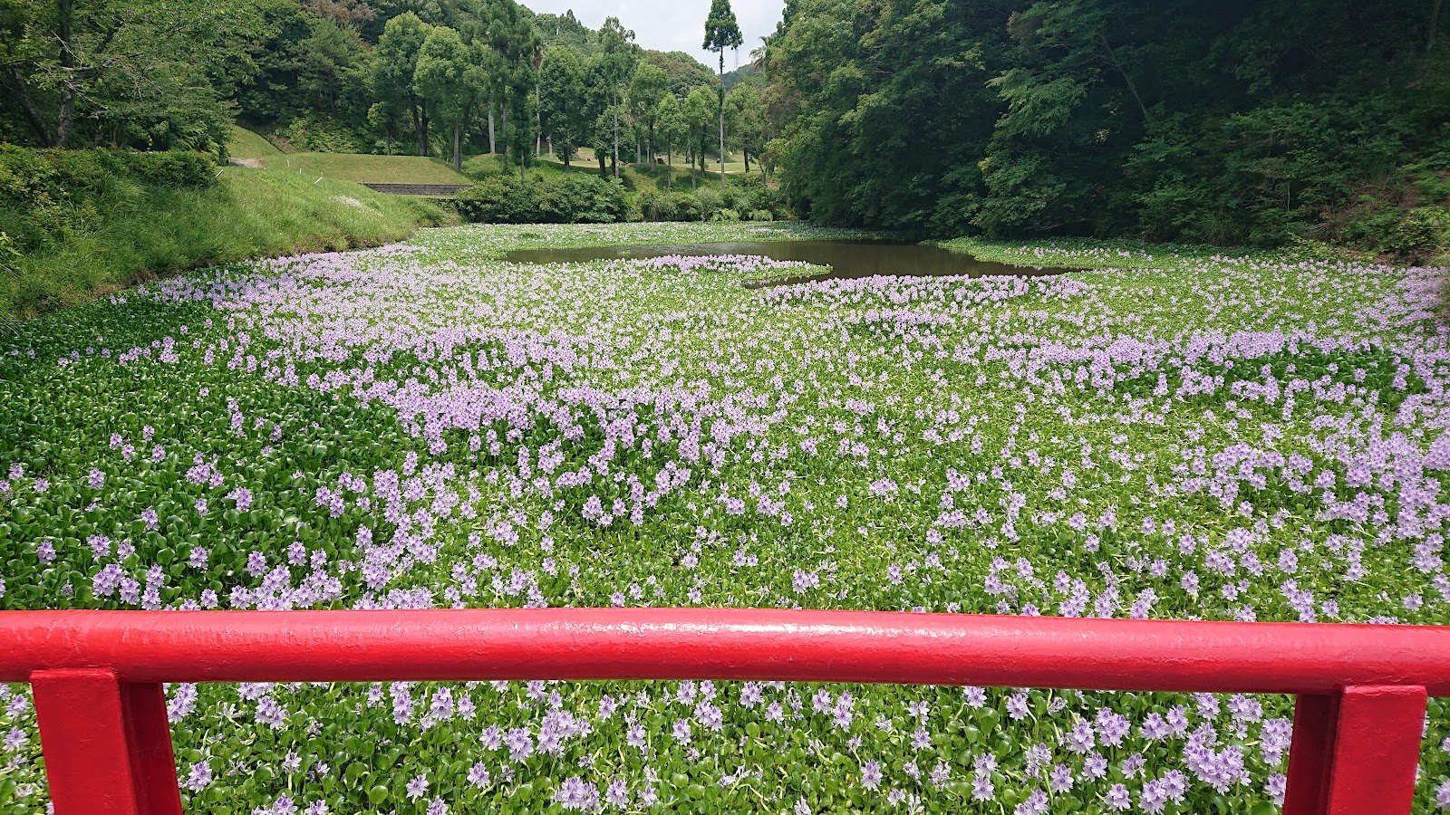 Tosa Utopia Country Club - 6