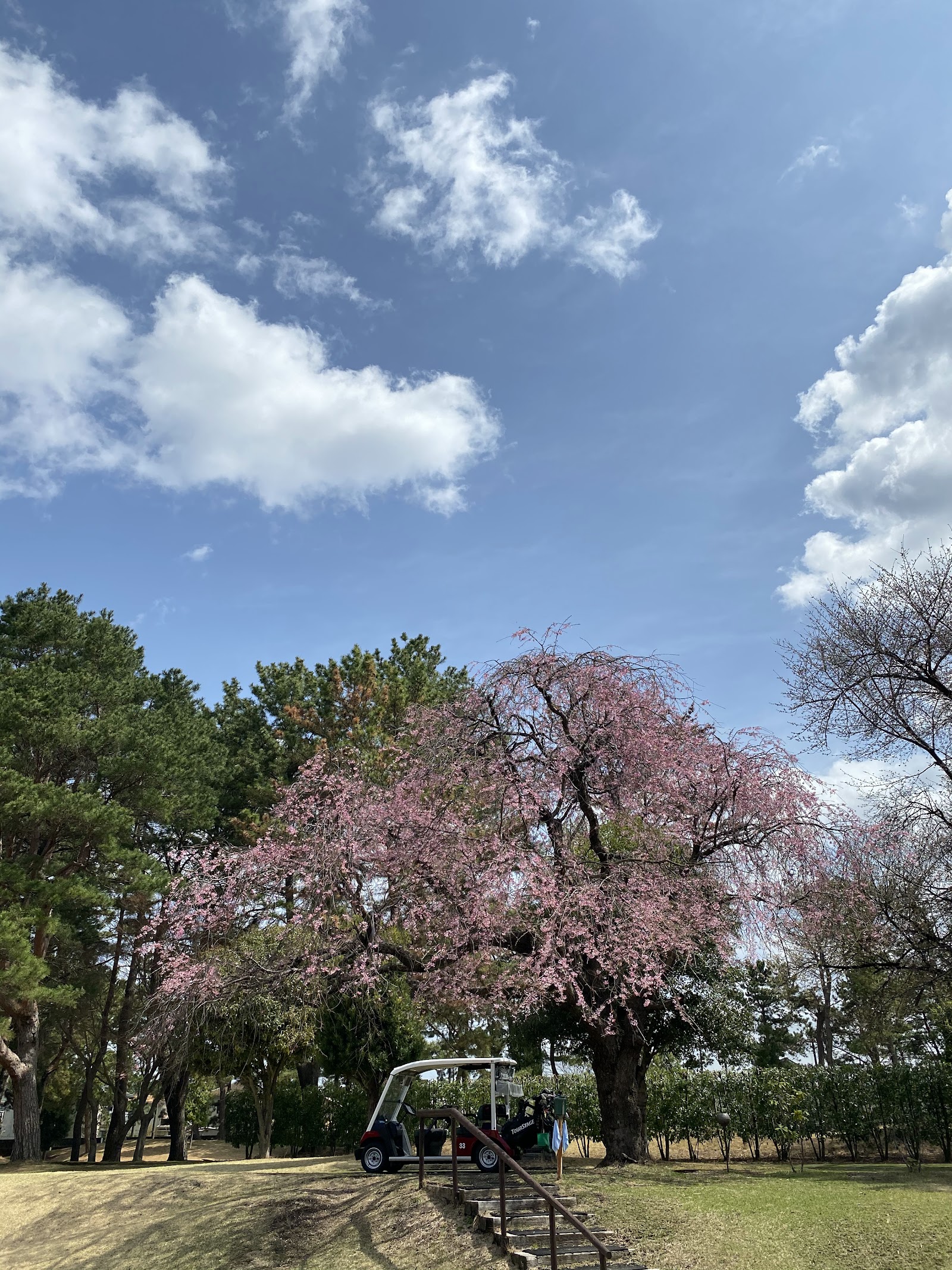 Odakyu Fujisawa Golf Club - 3