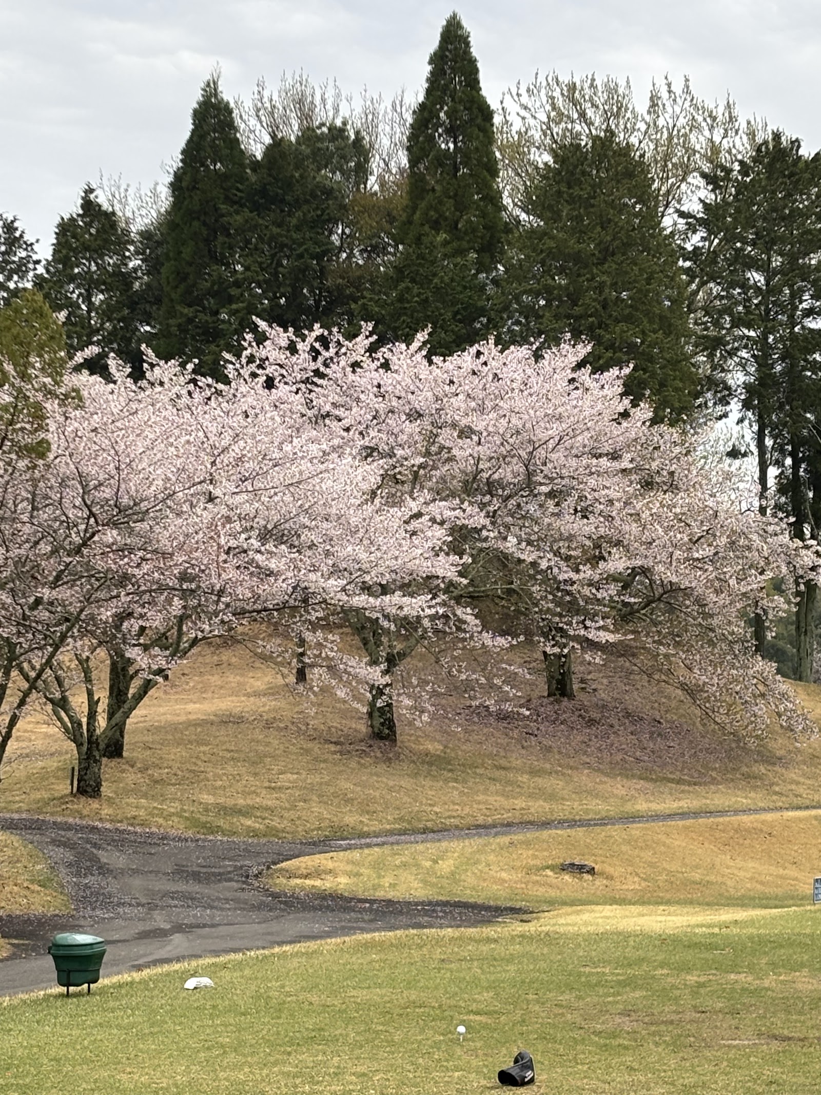 Nagoya Hills Golf Club Rose Course - 3