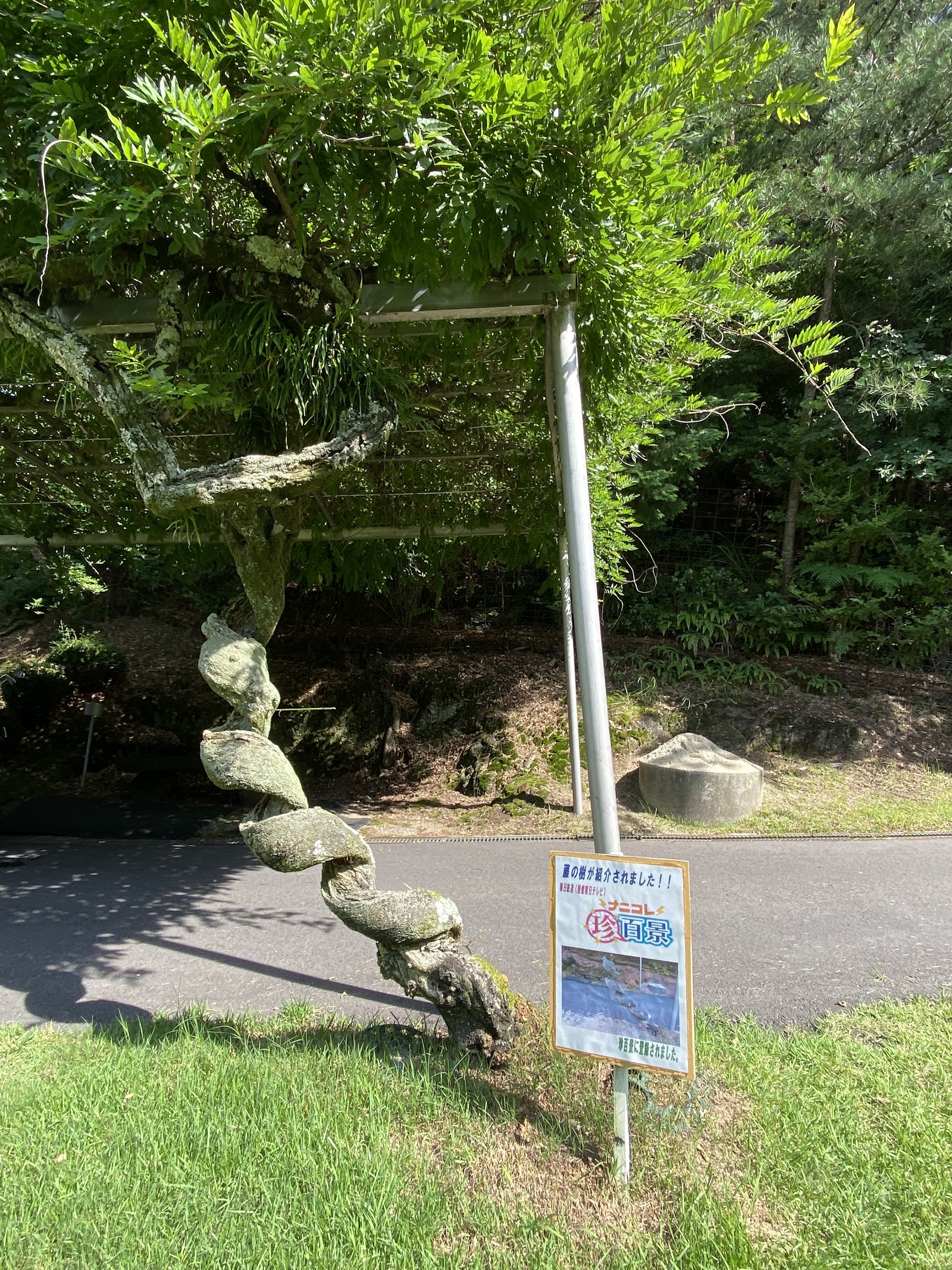 Matsuyama Golf Club - 5