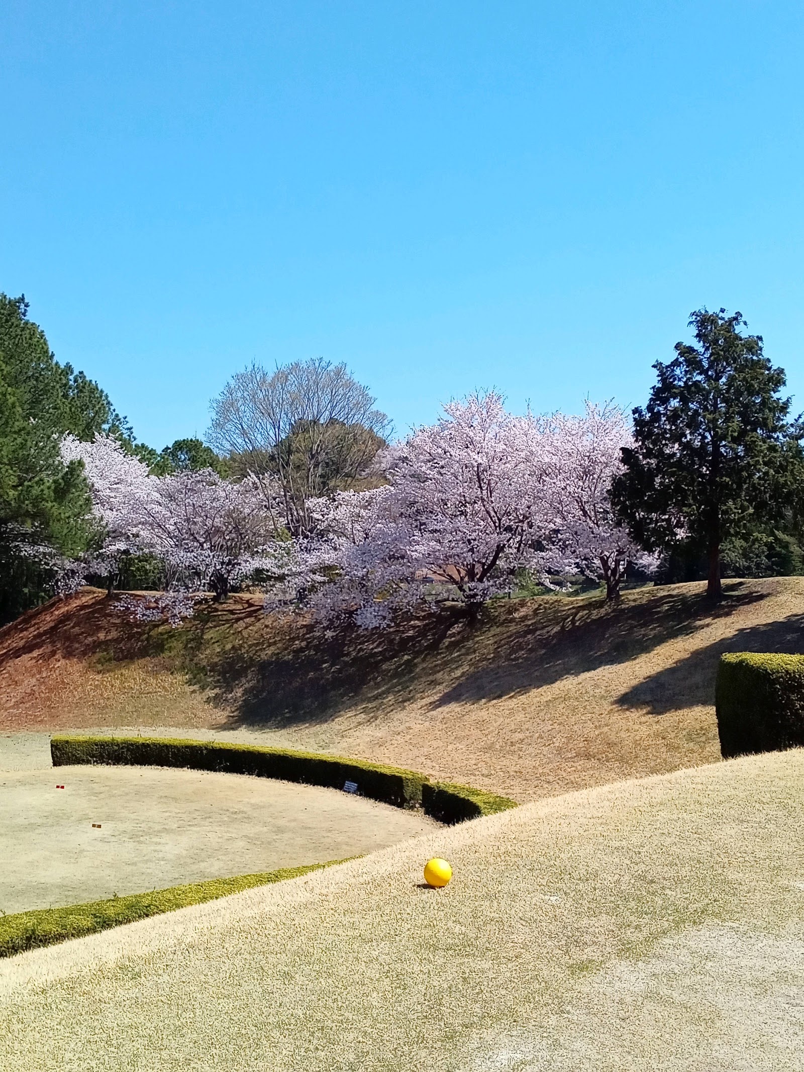 Mermaid Fukuyama Golf Club - 5