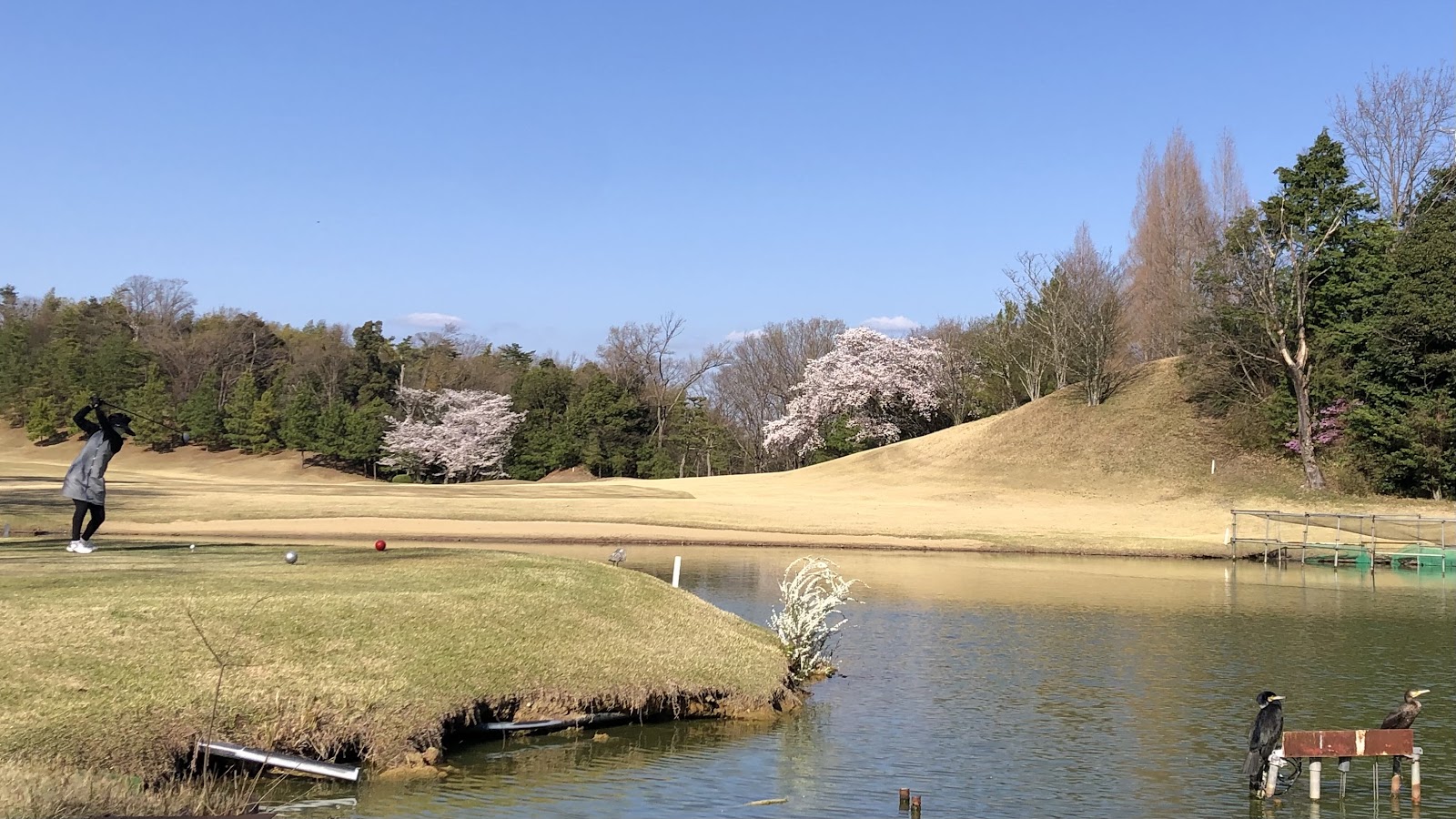 Asuka Country Club - 3