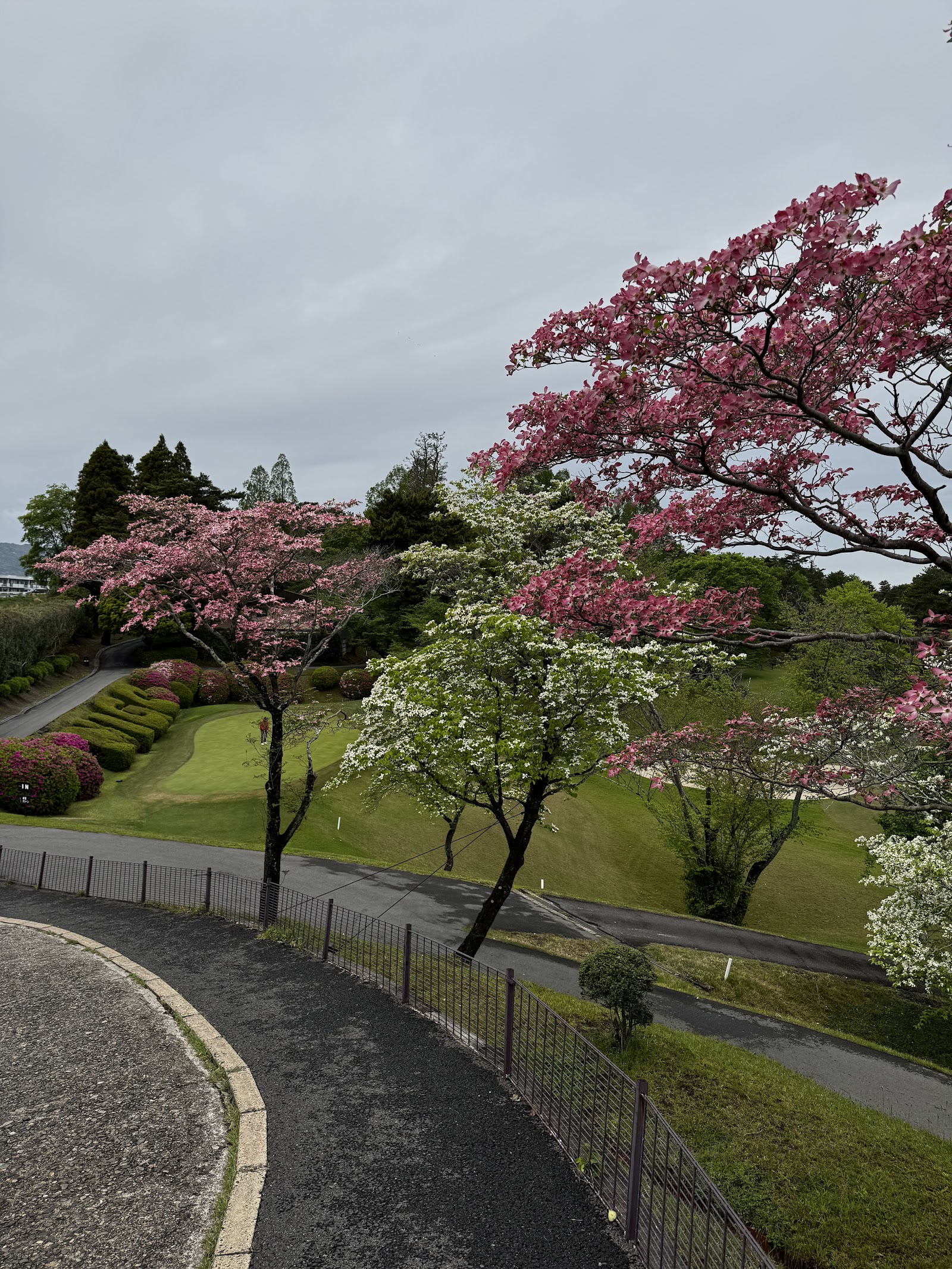 Nara International Golf Club - 4
