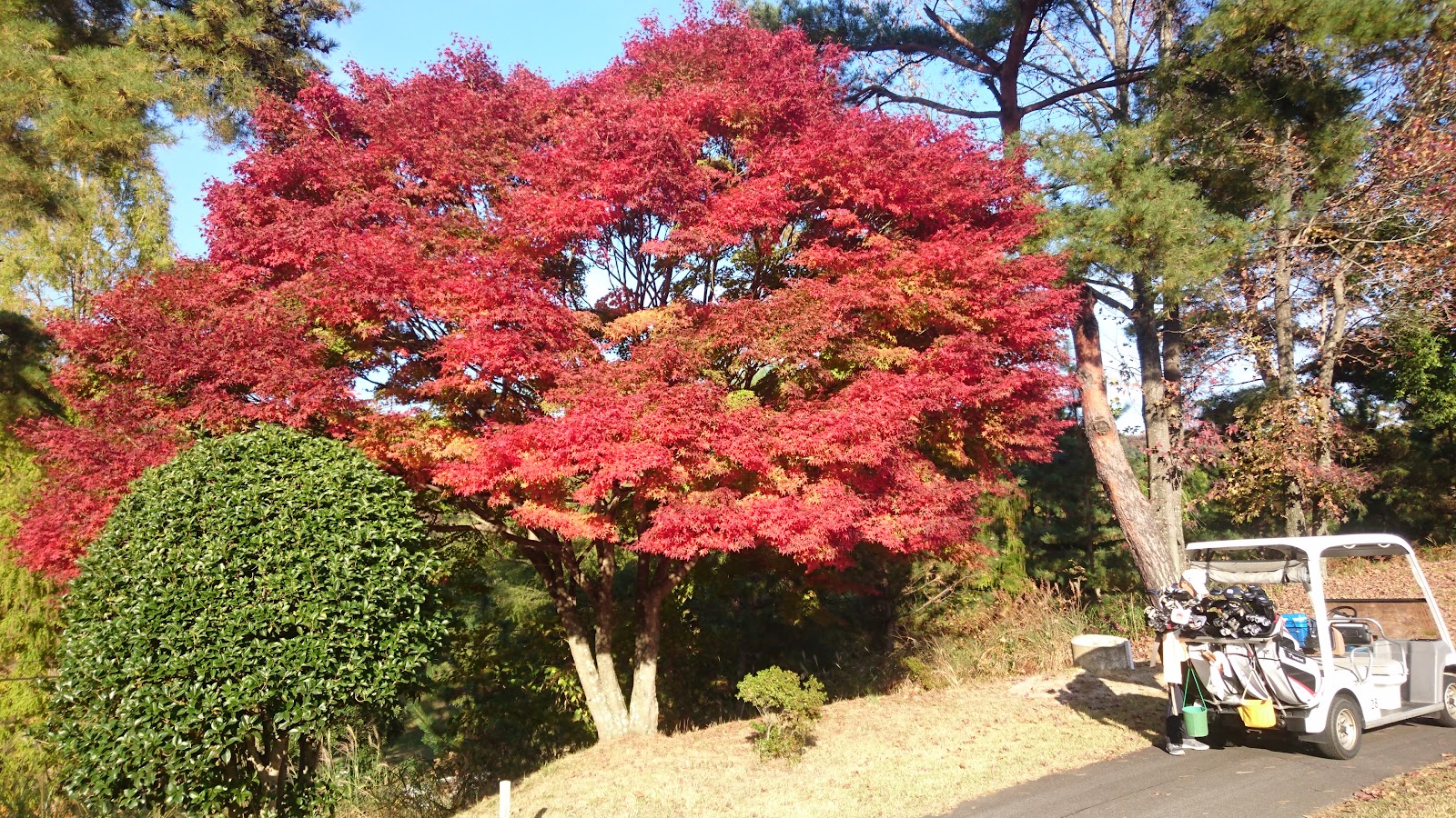 Fukuyama Country Club - 3