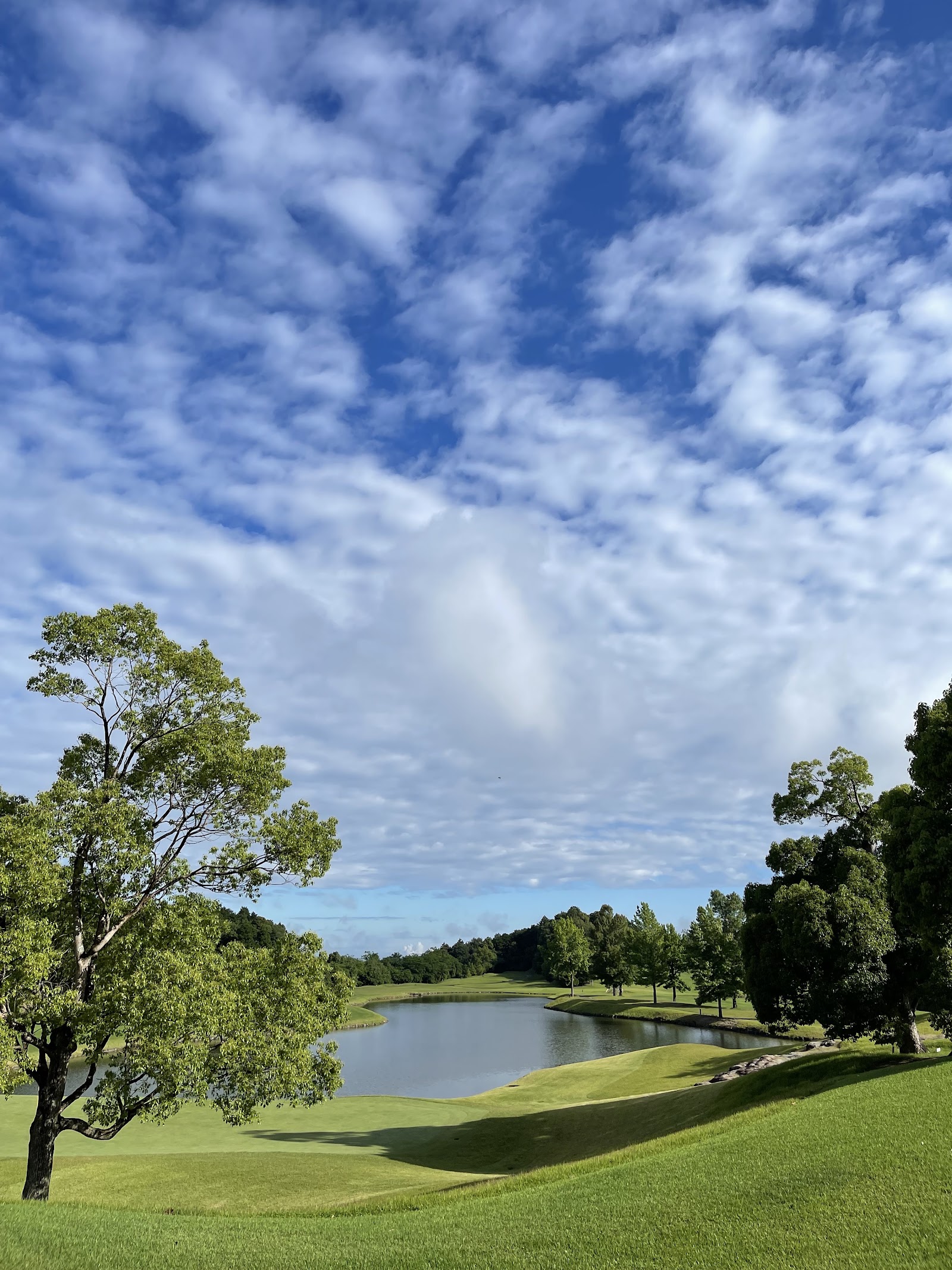 The Tradition Golf Club