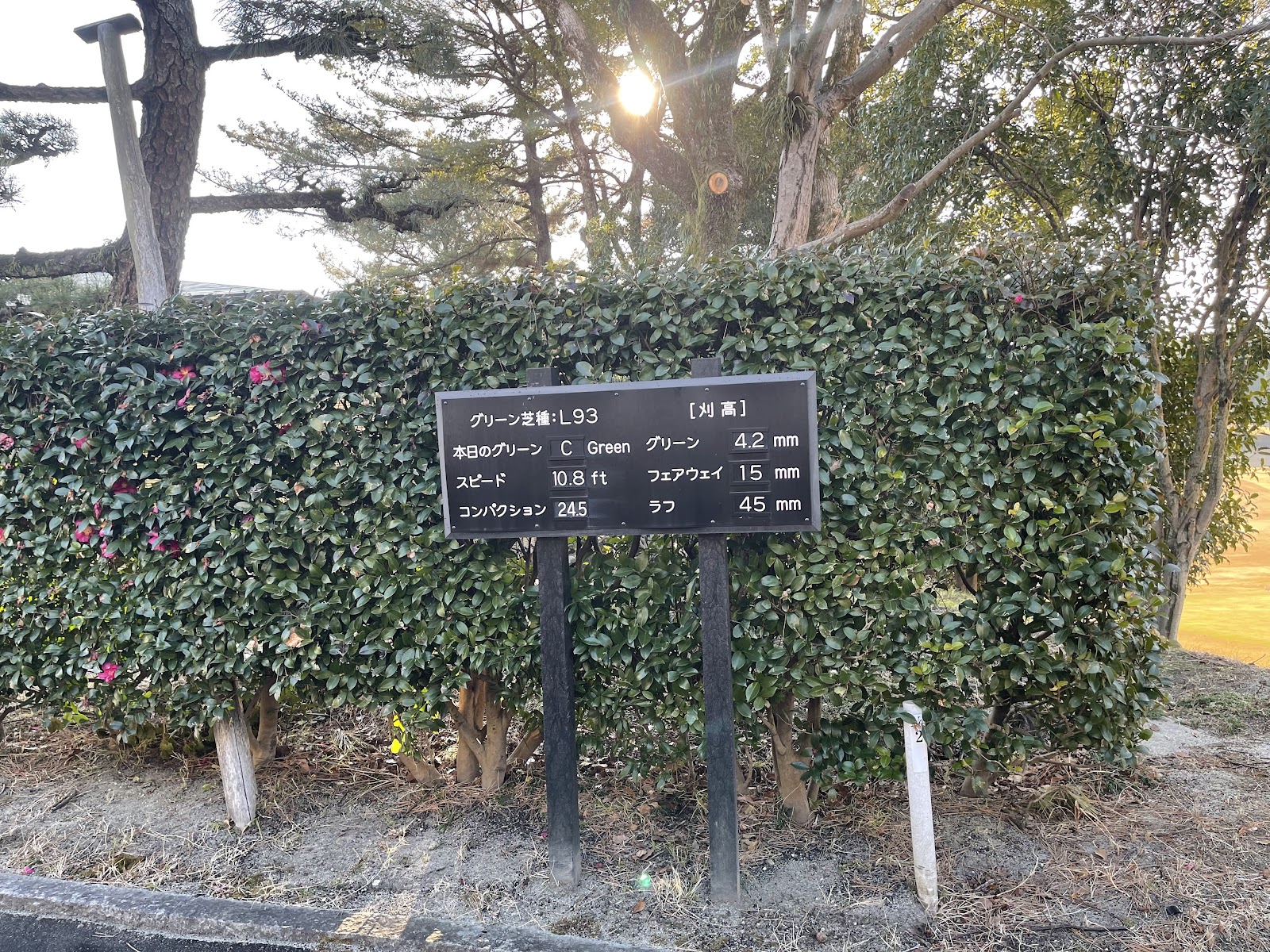 Nagoya Golf Club - 2