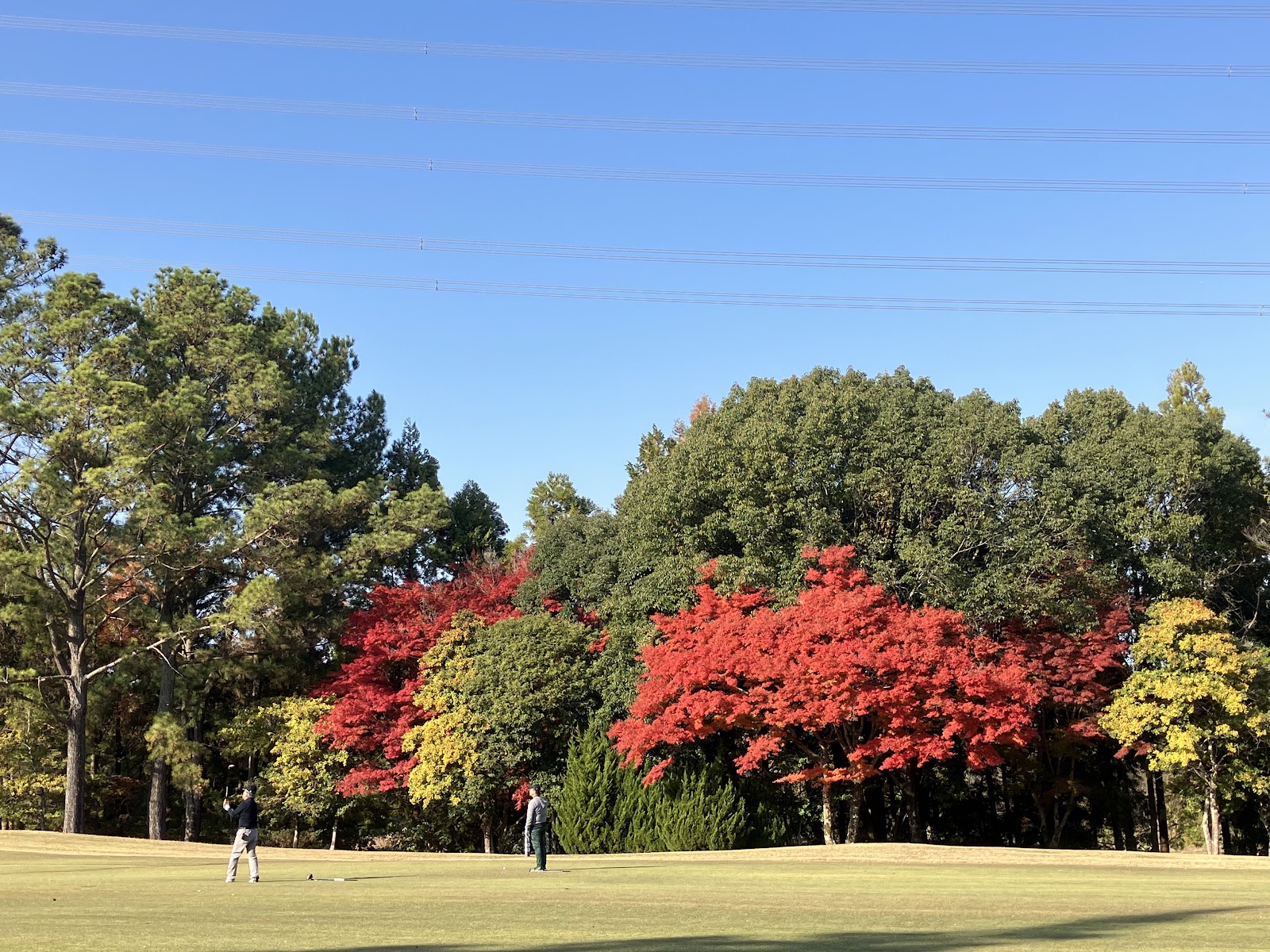 Sadataka Country Club - 4