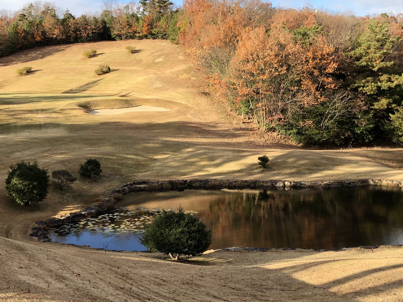 Sadataka Country Club - 6