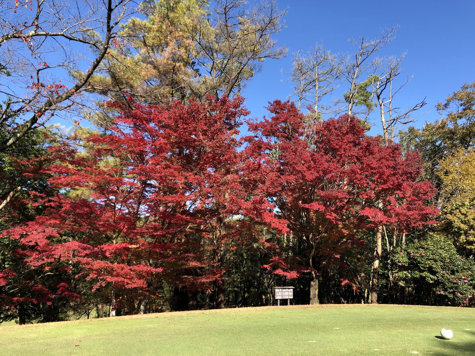 Nanzan Country Club - 5