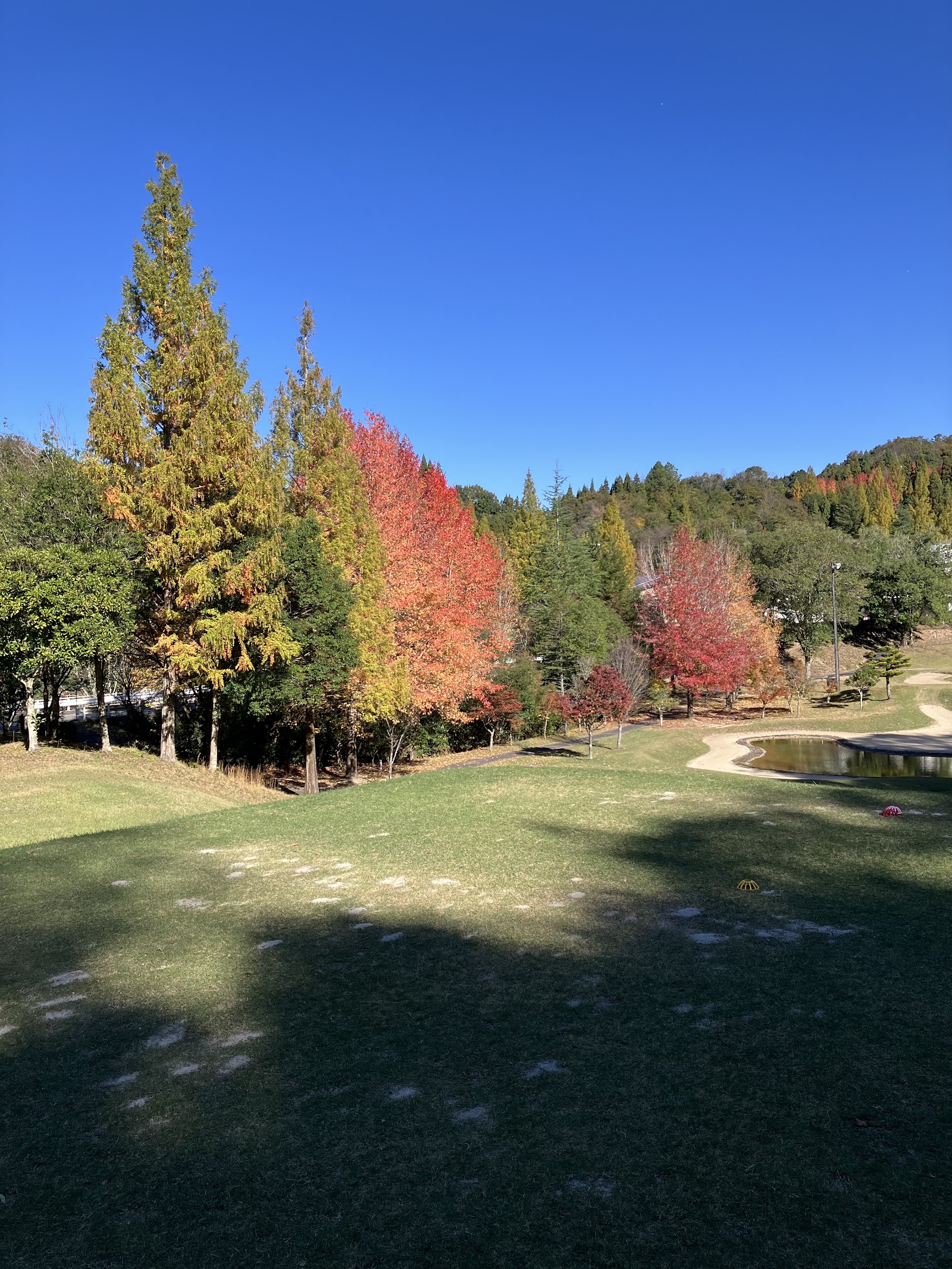 Golf Club Taiki Toyota Course - 3