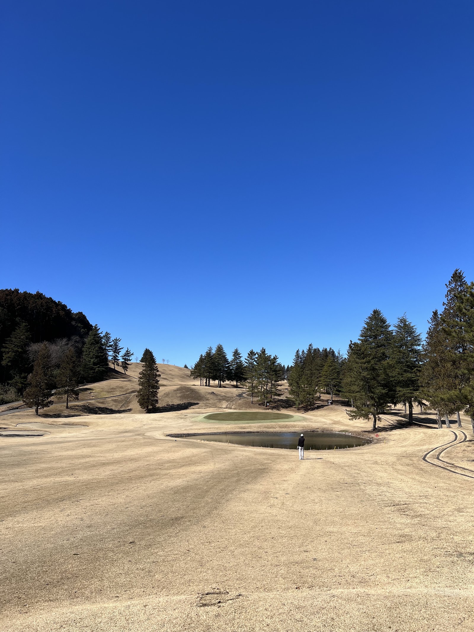 Royal Country Club - 3