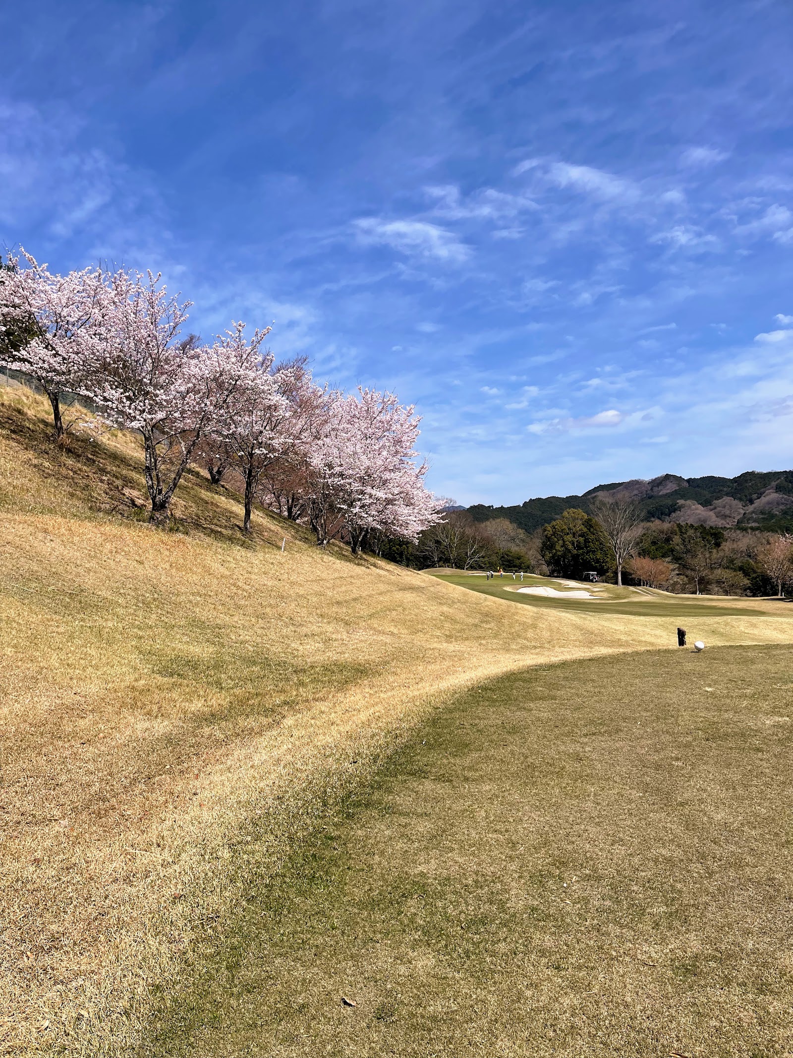 Nara Royal Golf Club - 6