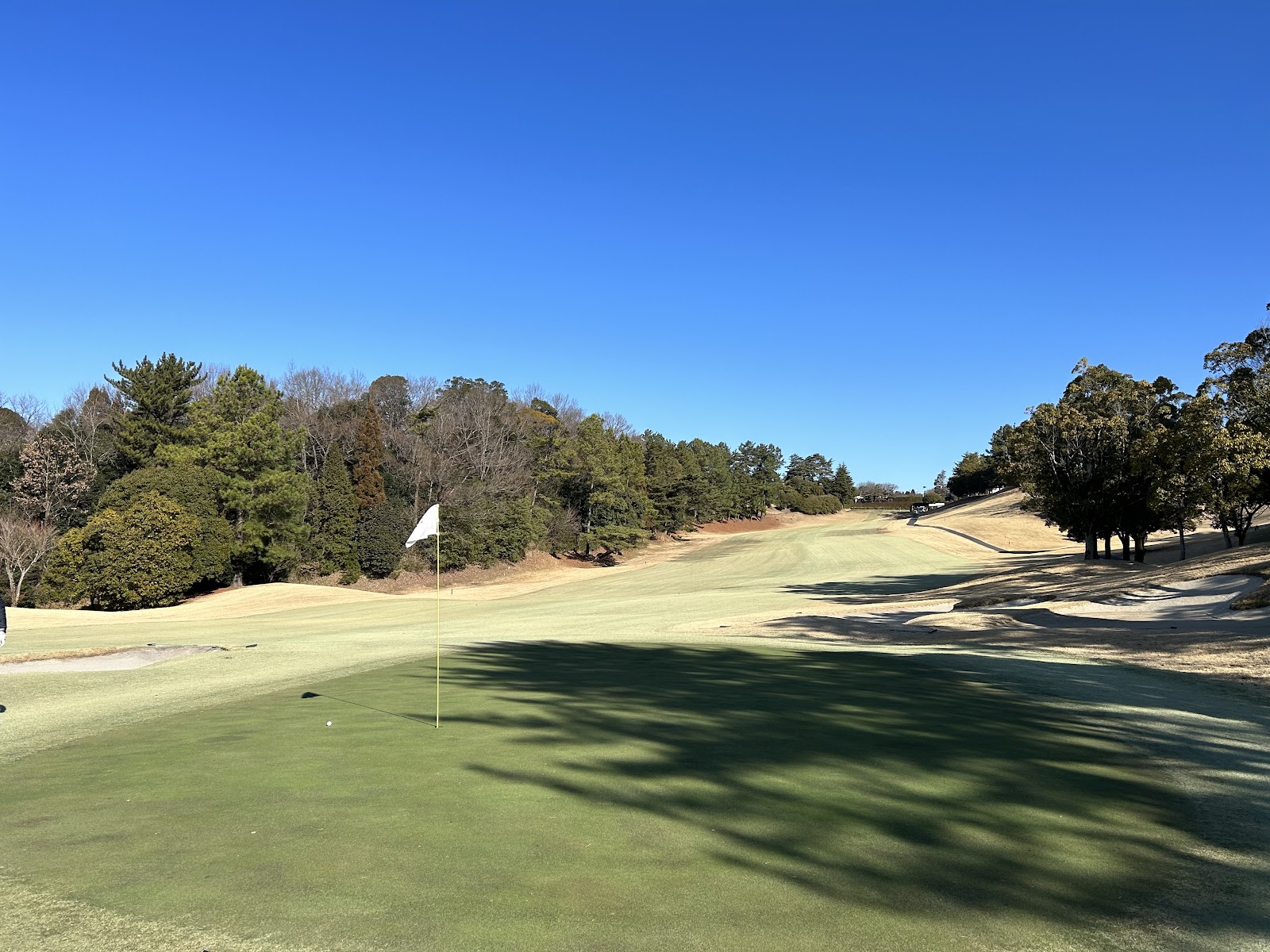 Shinoda Dai Country Club - 2