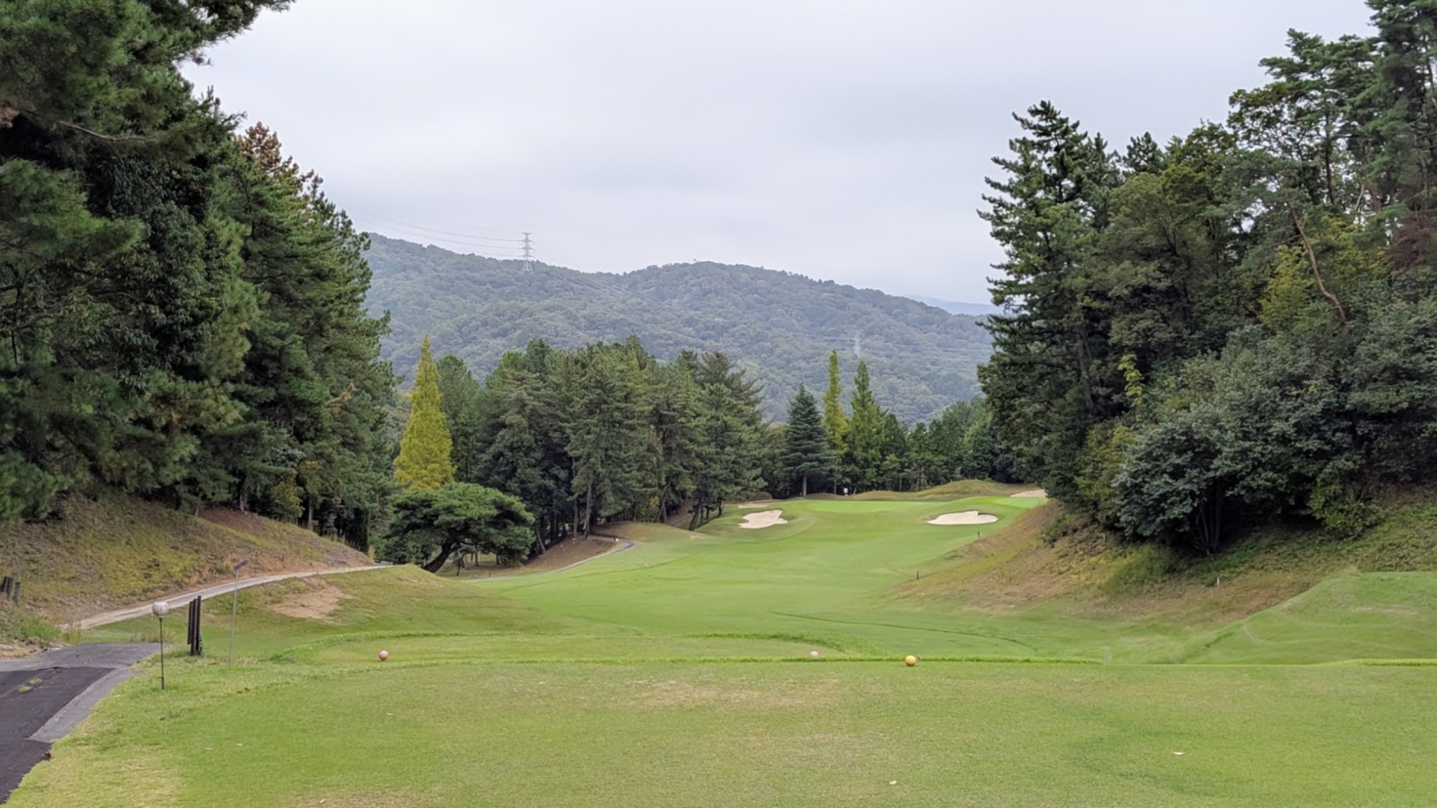 Shinoda Dai Country Club - 4