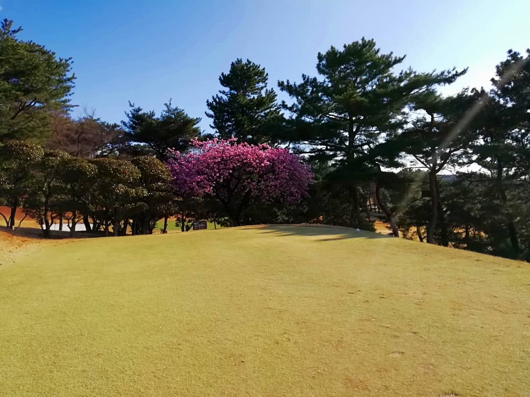 Midori Gaoka Country Club - 3