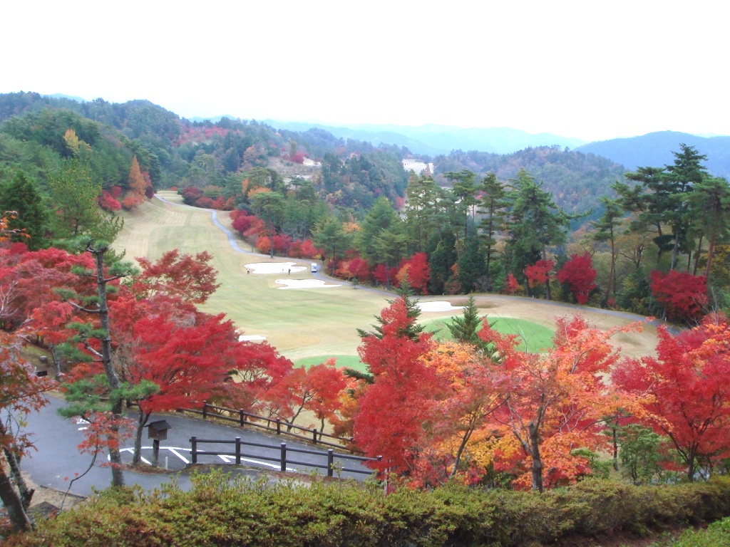 Golf Club Taiki Asahi Course - 5