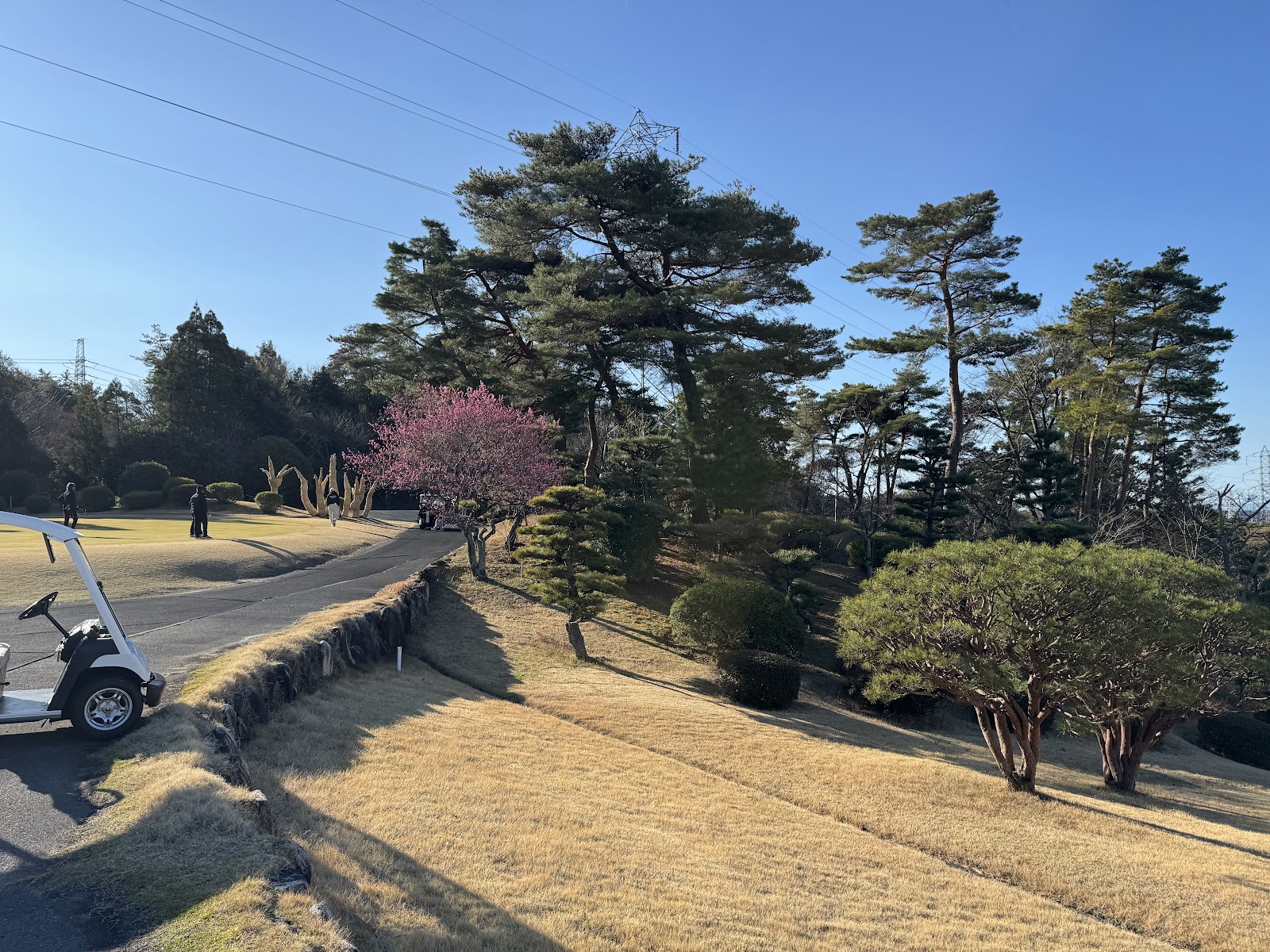 Kuwana Country Club - 6