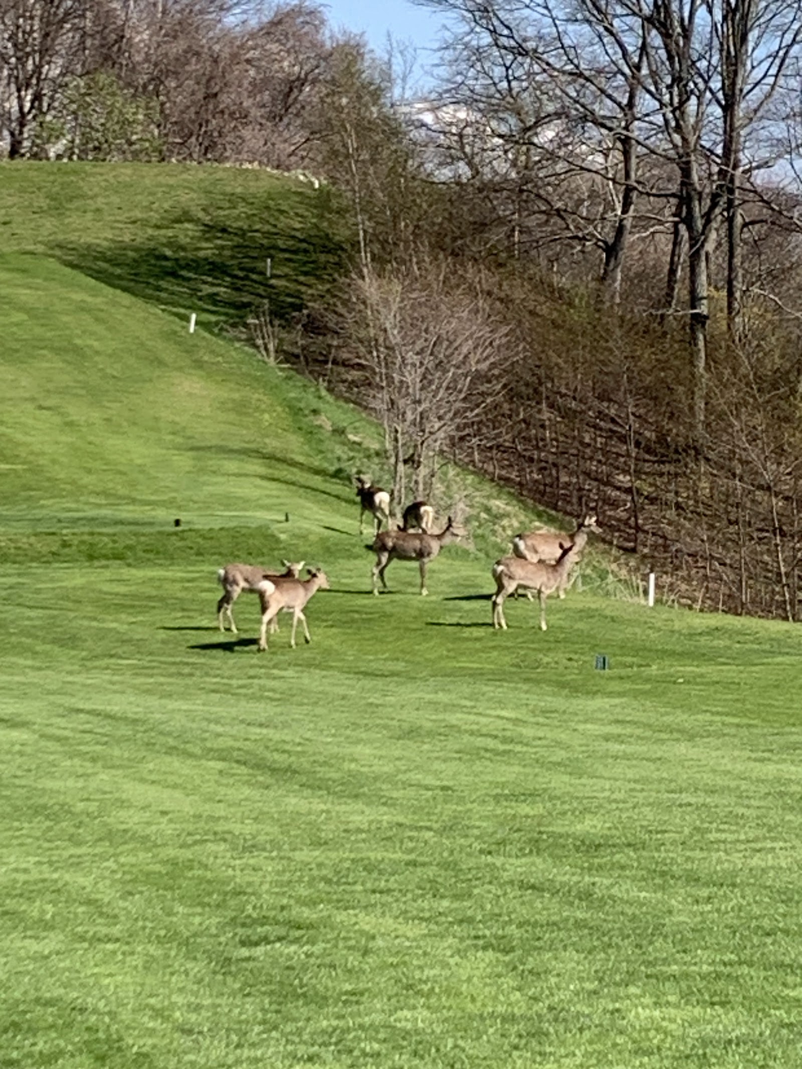 Shin-Chitose Country Club - 5