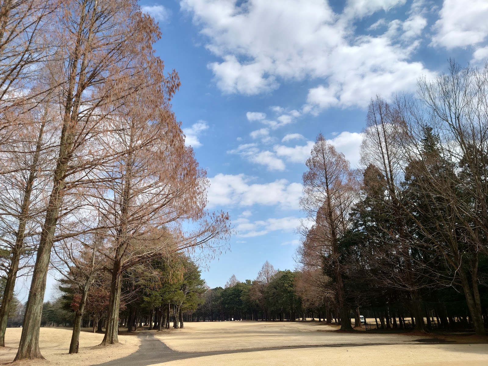 Hoshinomiya Country Club - 2