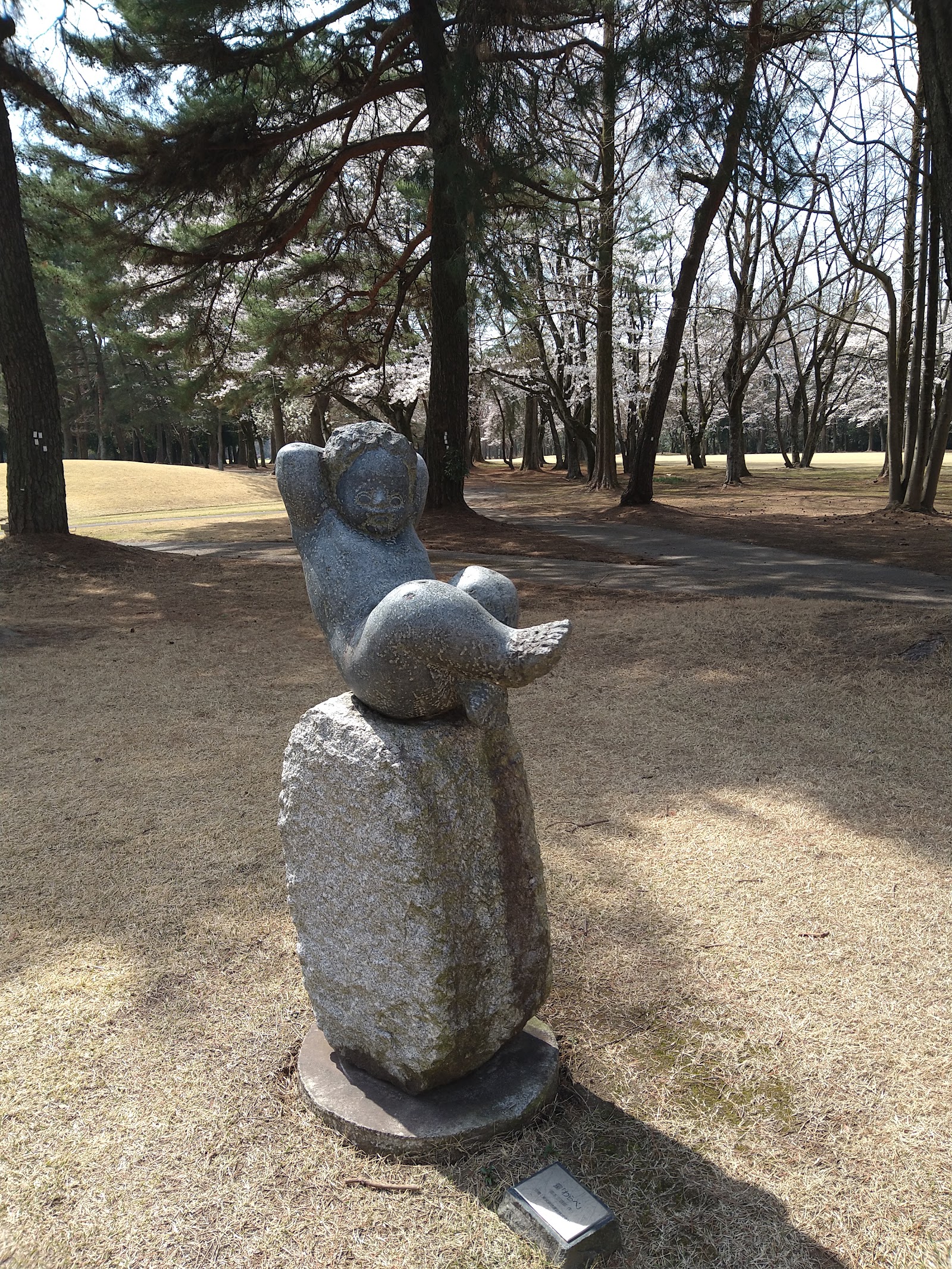 Hoshinomiya Country Club - 5