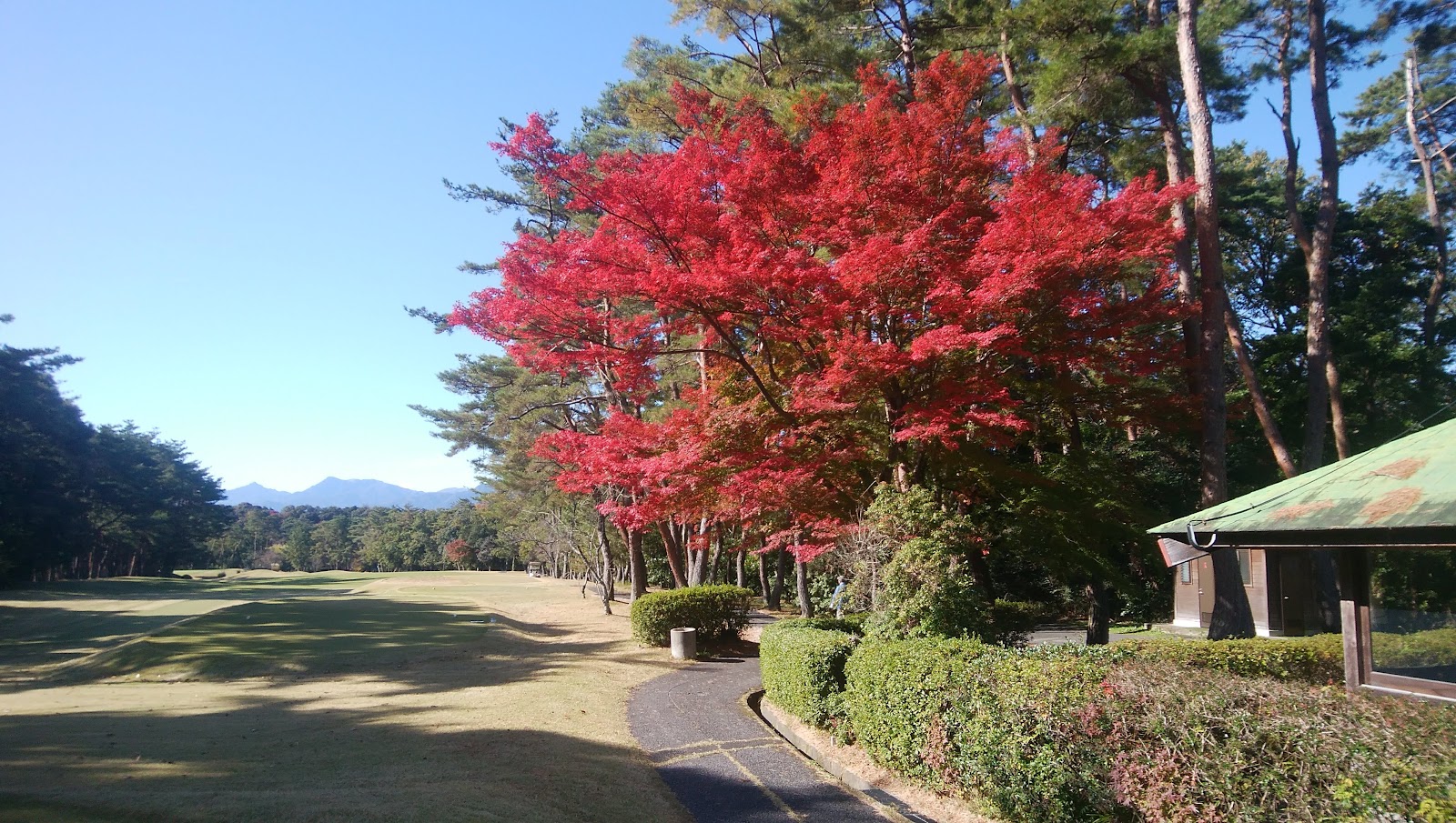 Three Lakes Country Club - 3