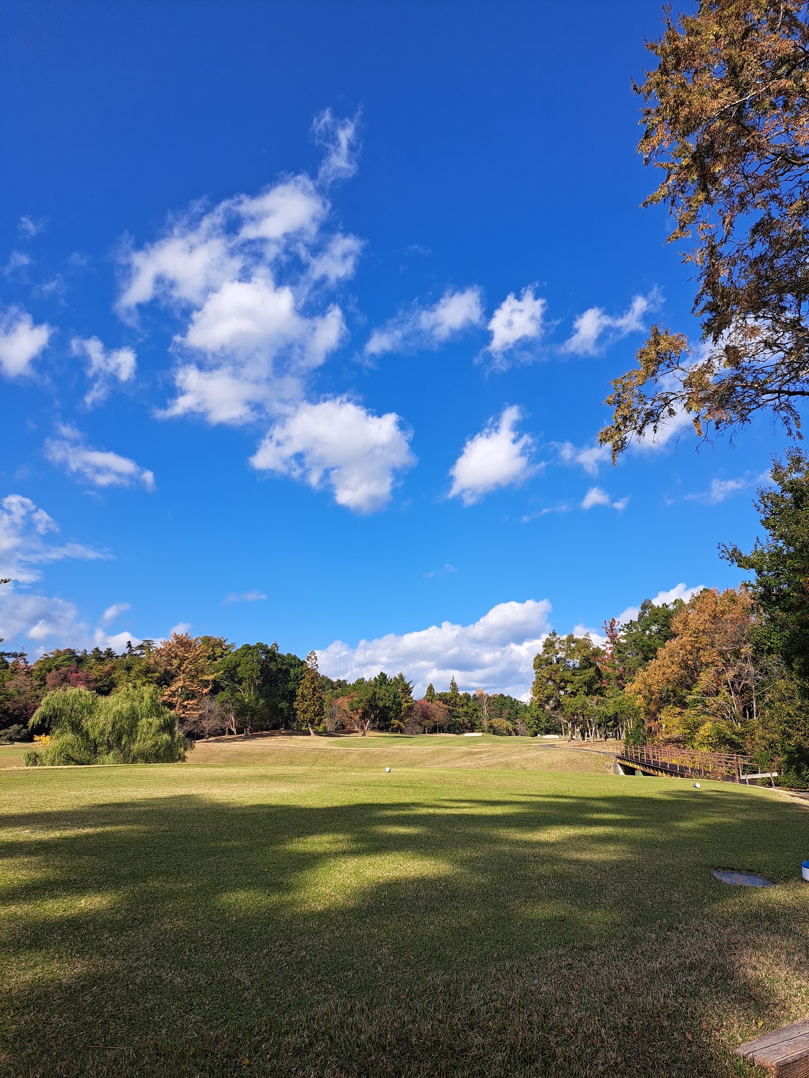 Three Lakes Country Club - 5