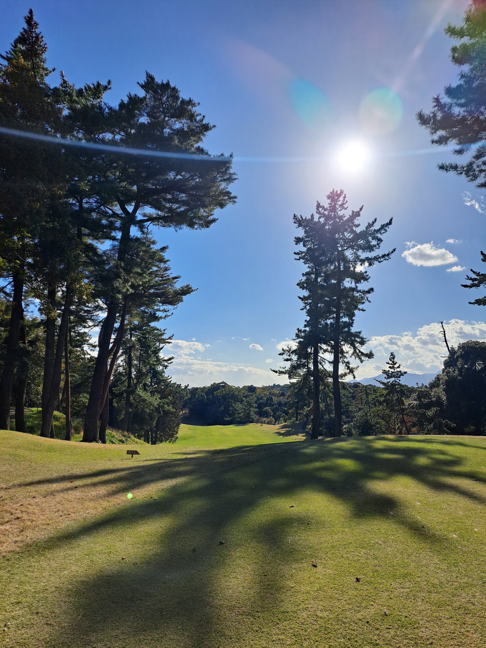Three Lakes Country Club - 6