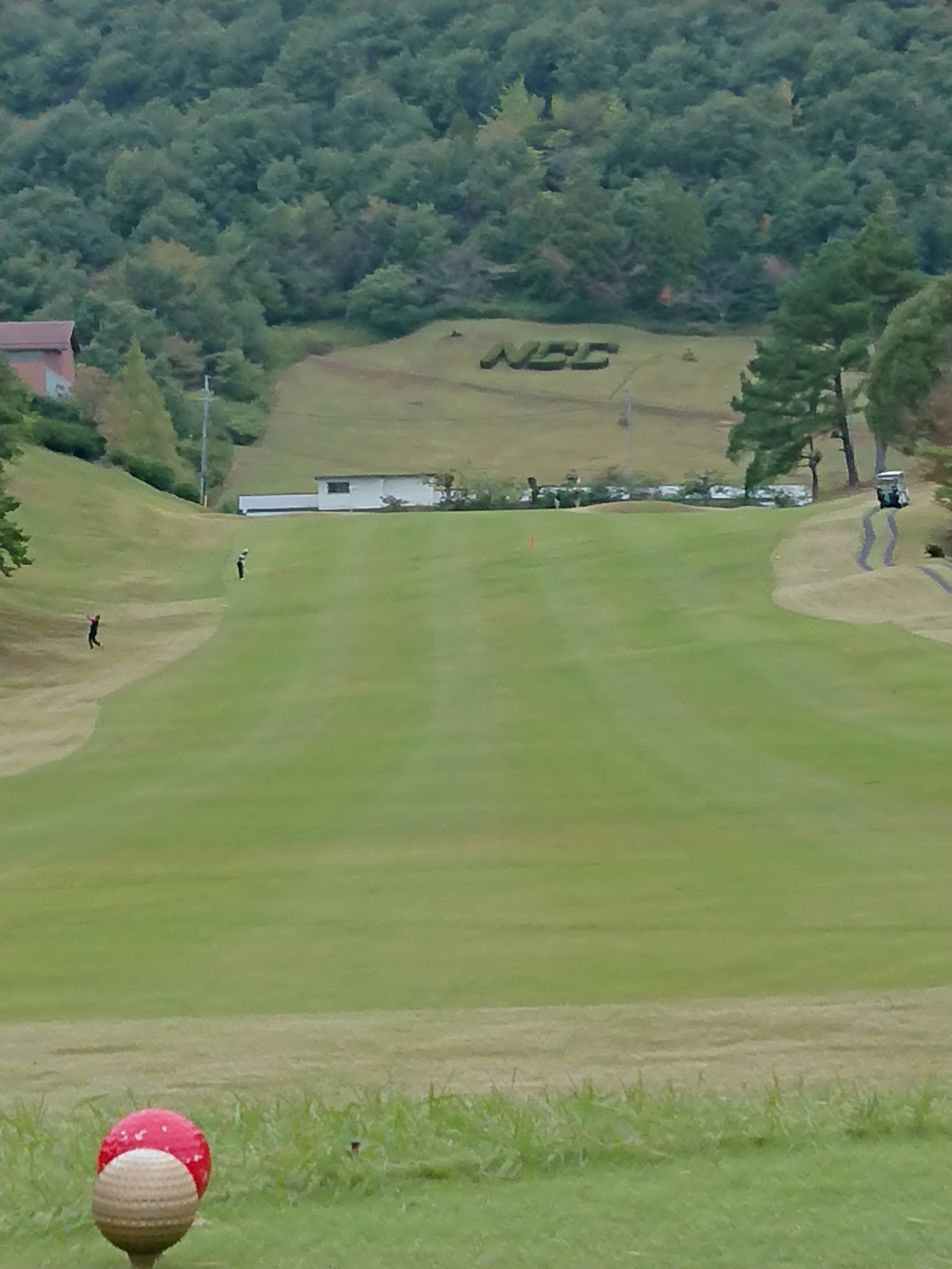 Nagaragawa Country Club - 4