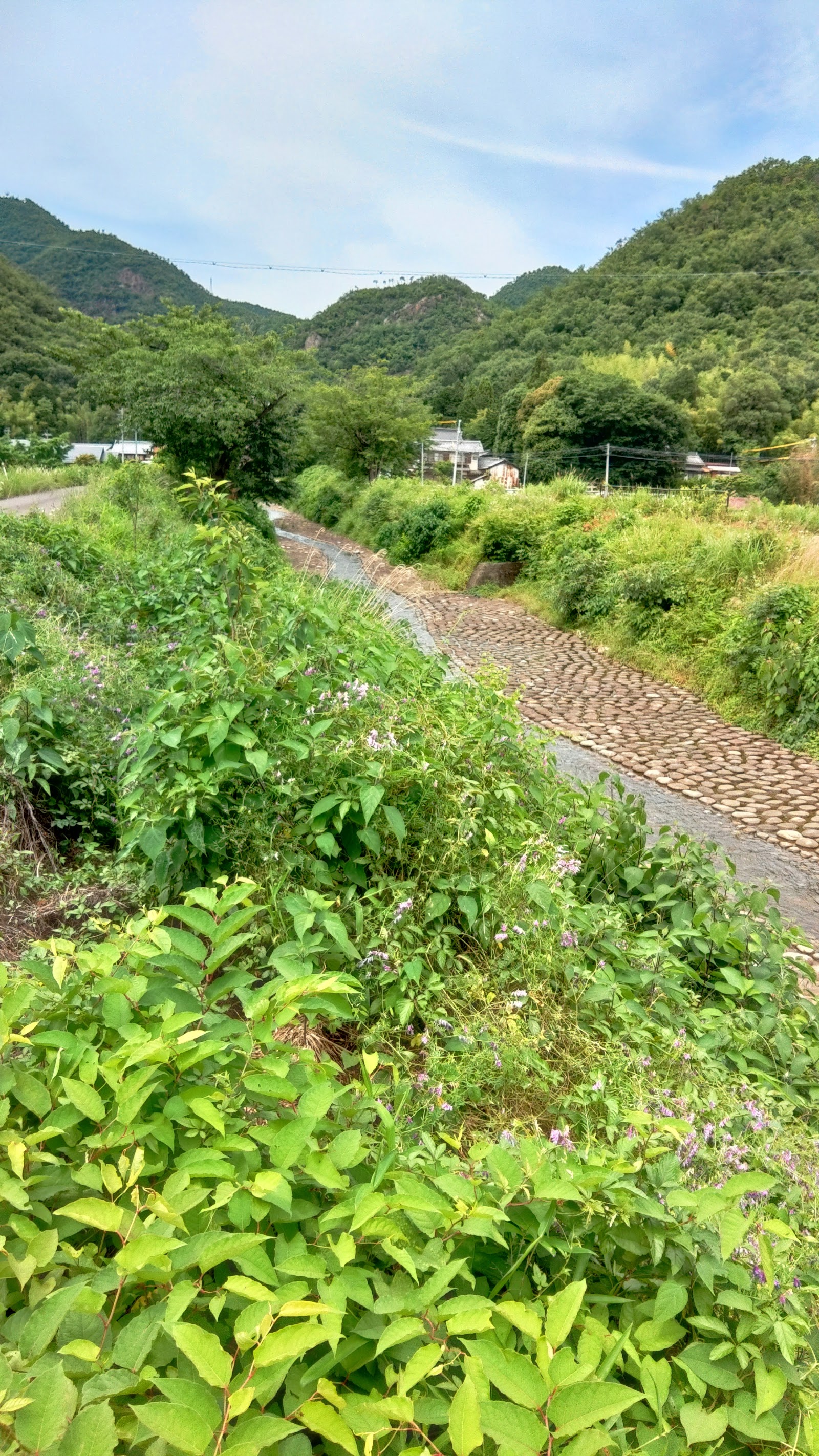 Nagaragawa Country Club - 5
