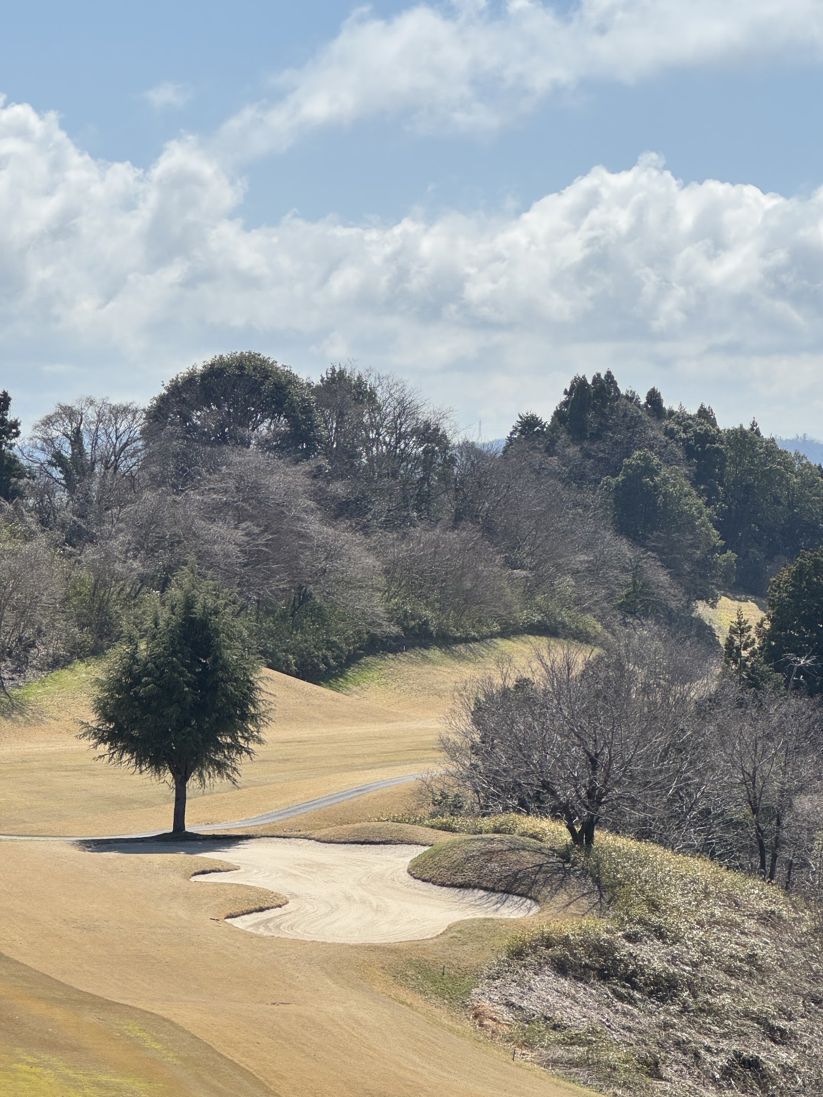 Green Park Daiyama Golf Club - 6