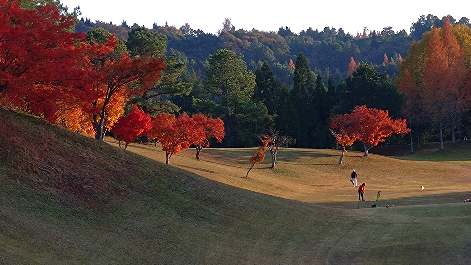 Ako International Country Club - 6