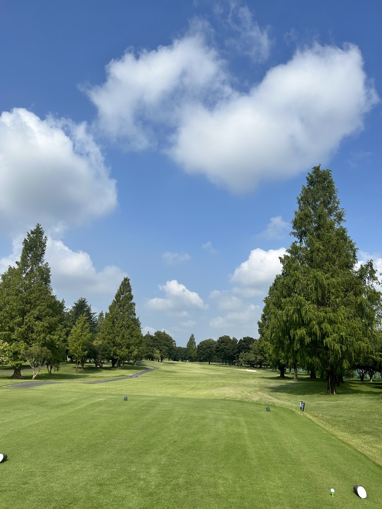 Shintatamura Golf Course