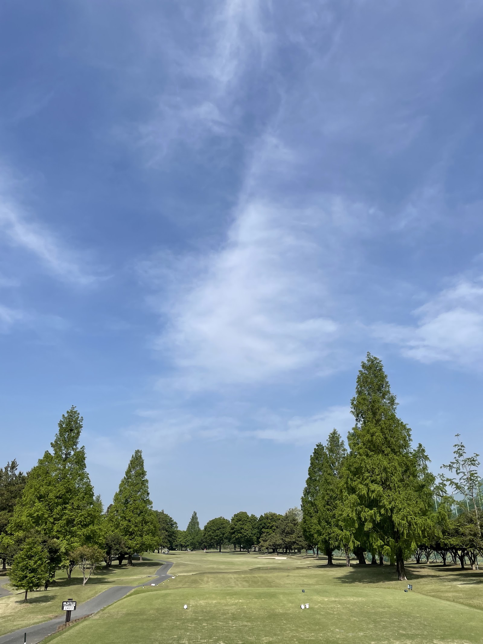Shintatamura Golf Course - 6
