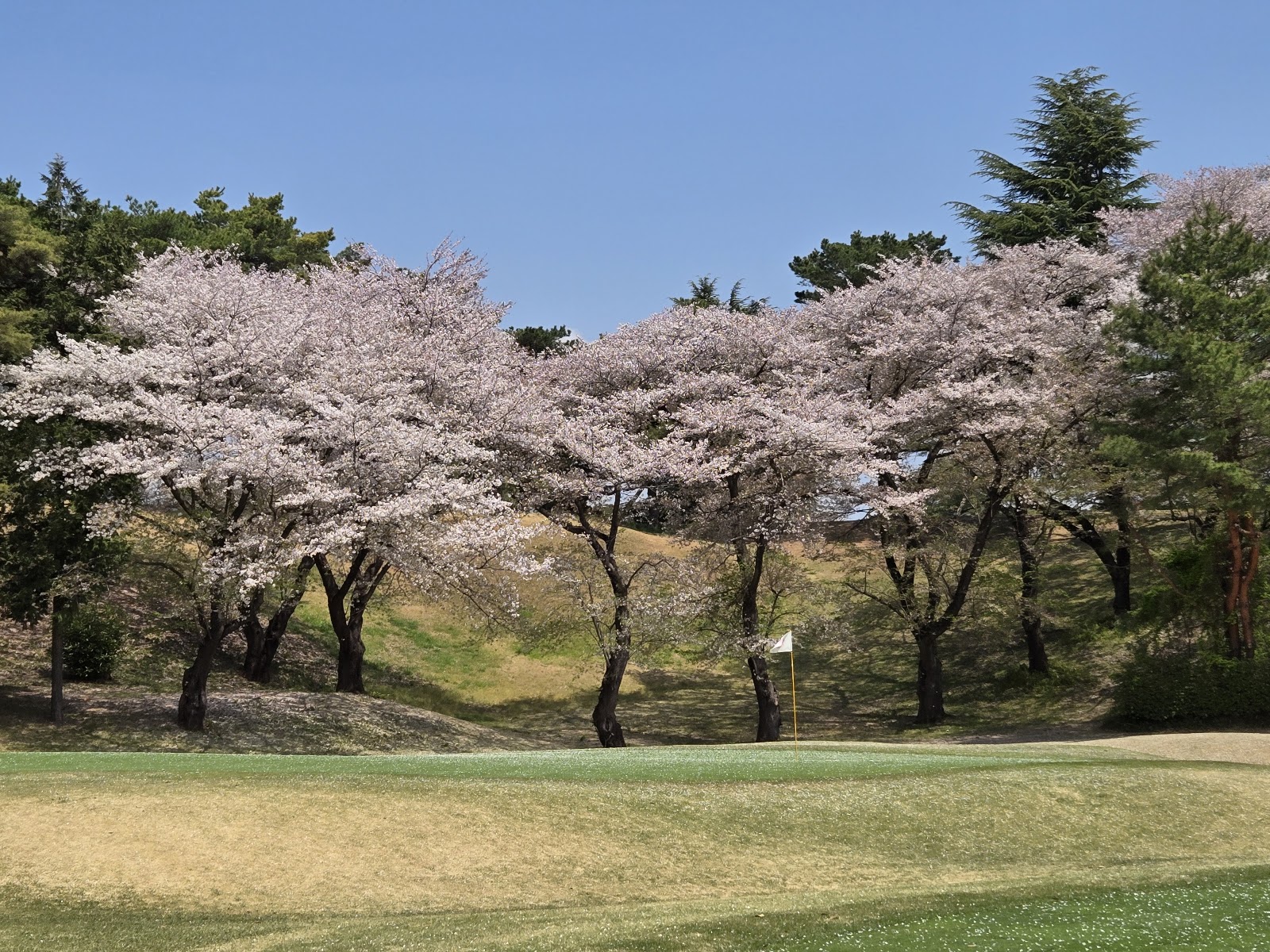 Seibuen Golf Course - 5