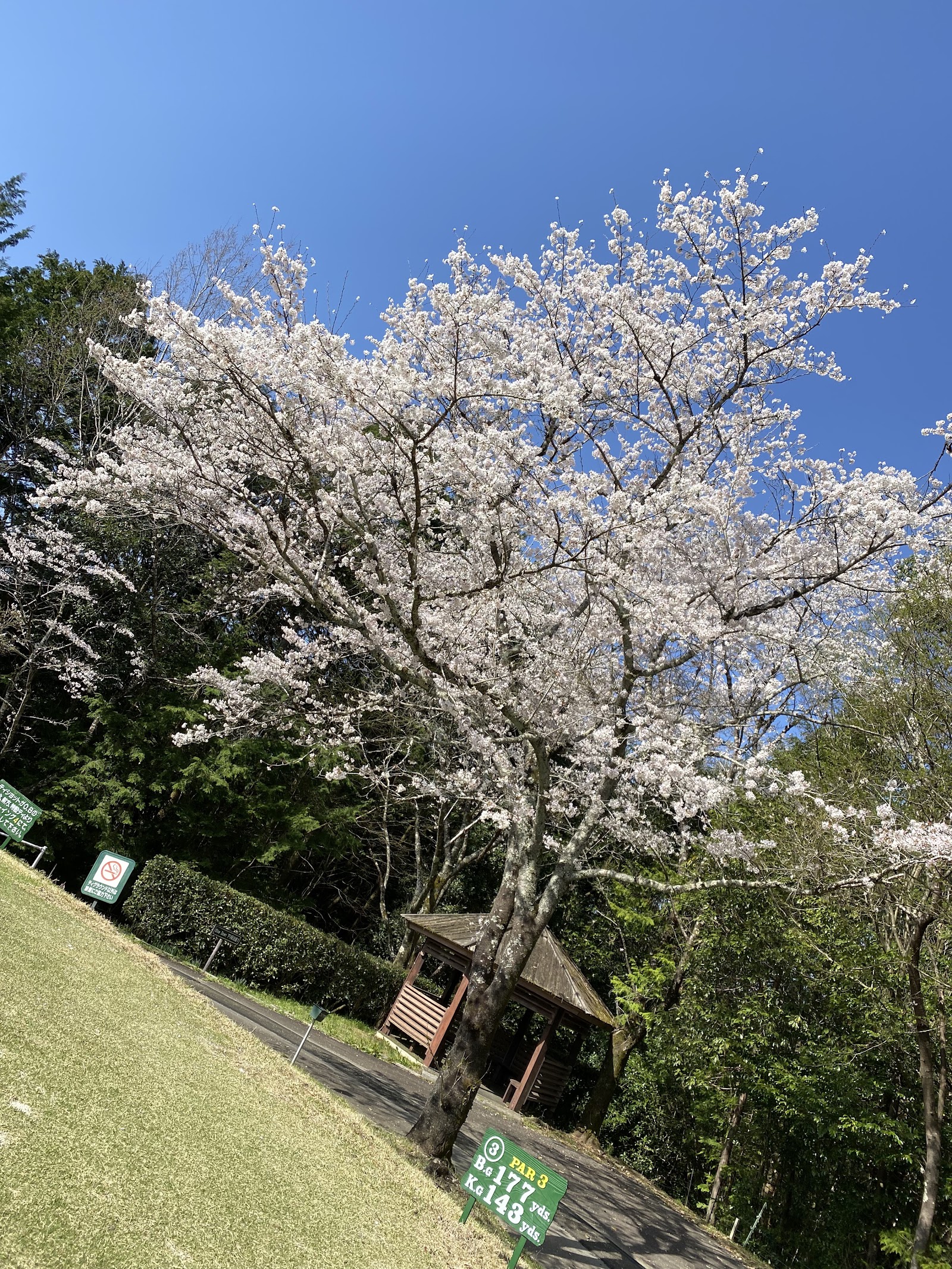 Seeda Hills Country Club - 5