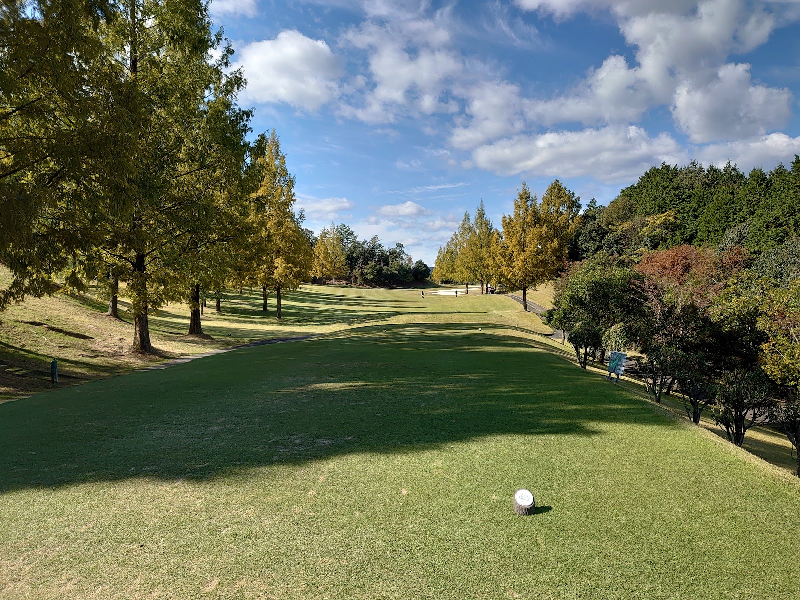 Seeda Hills Country Club - 6