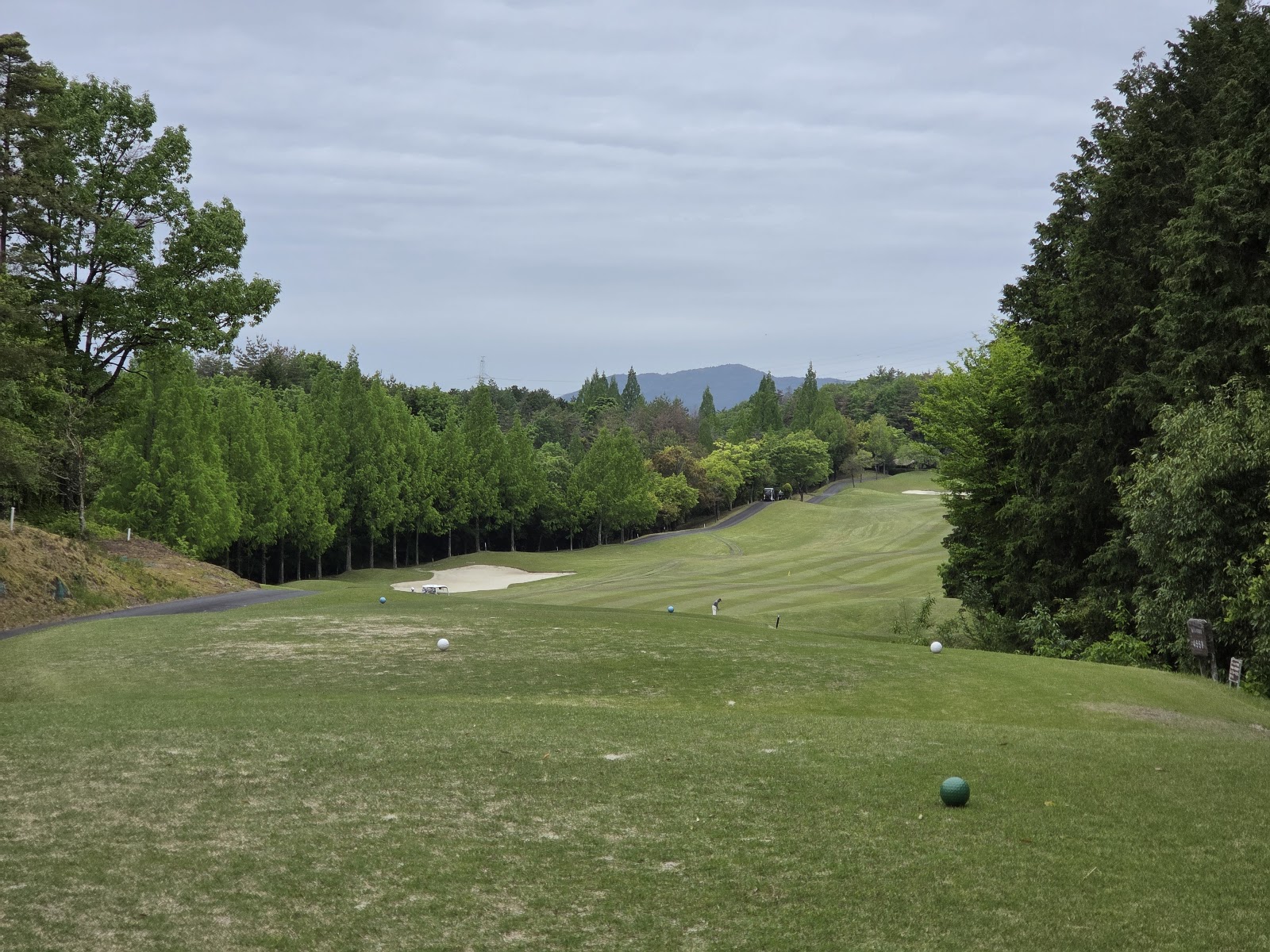 Kobushi Golf Club - 3