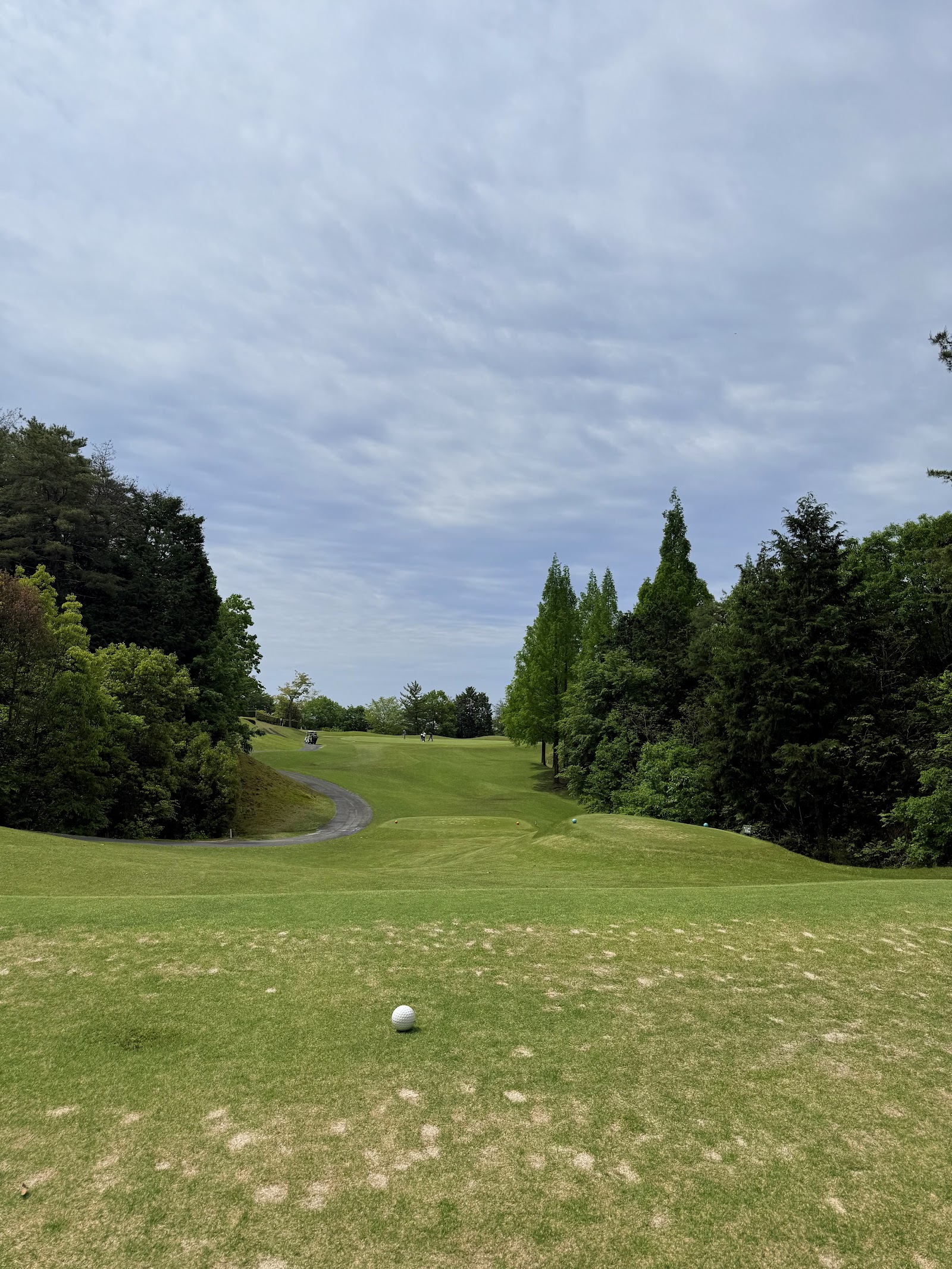 Kobushi Golf Club - 4