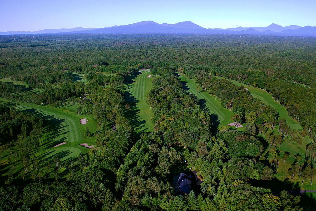 Nidom Classic Course
