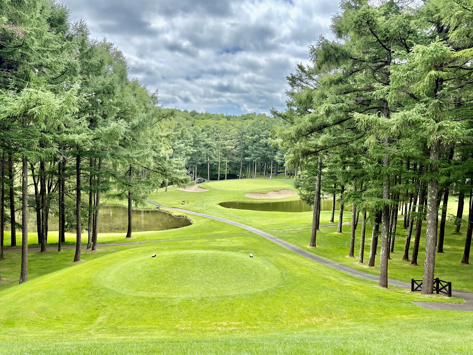 Nidom Classic Course - 2