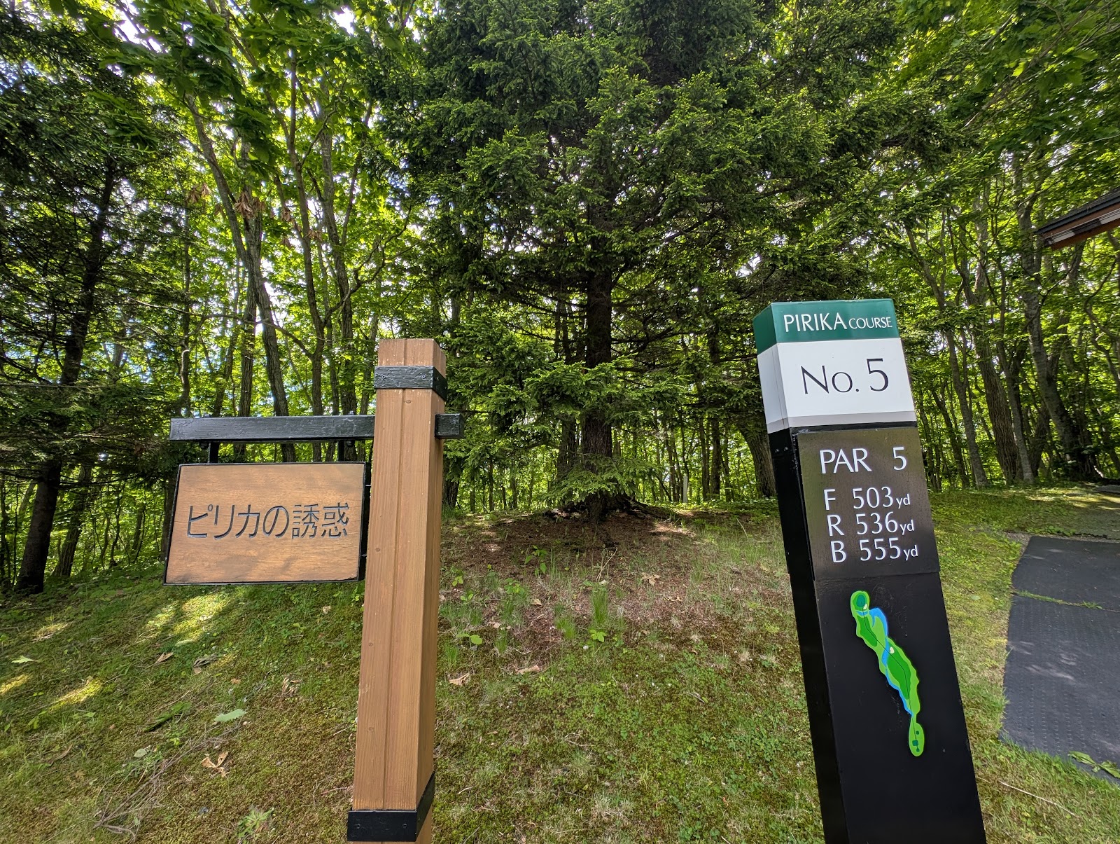 Nidom Classic Course - 6
