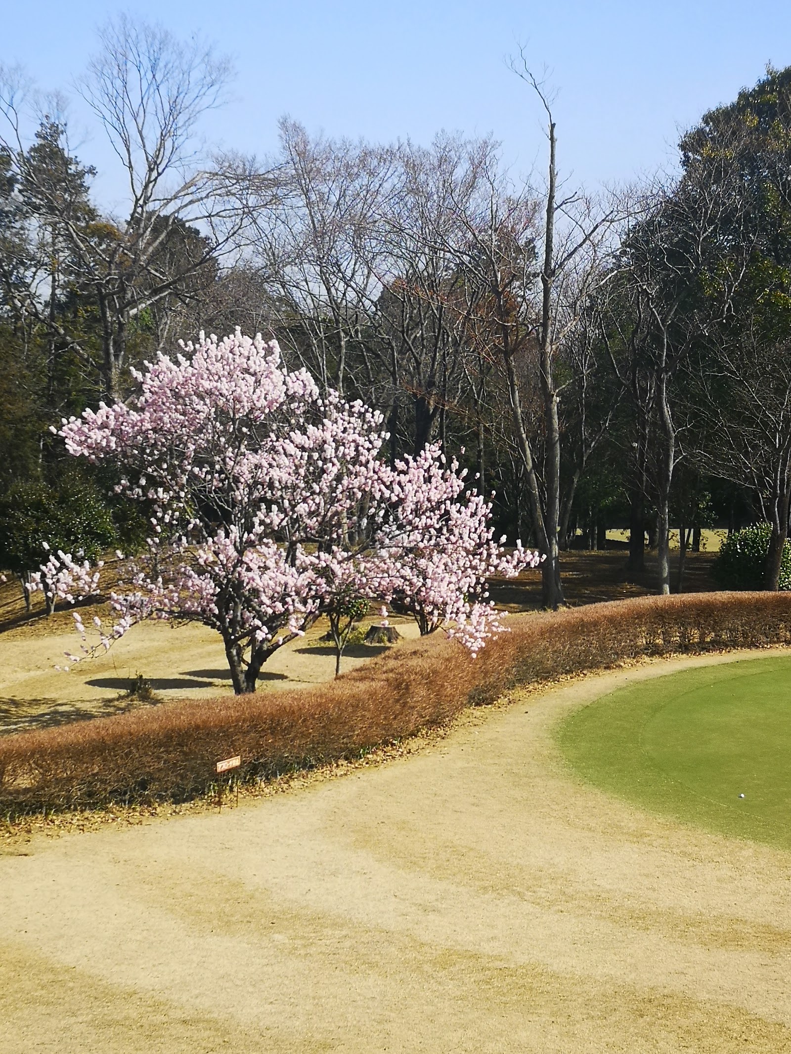 Noda City Public Golf Course Keyaki Course - 5