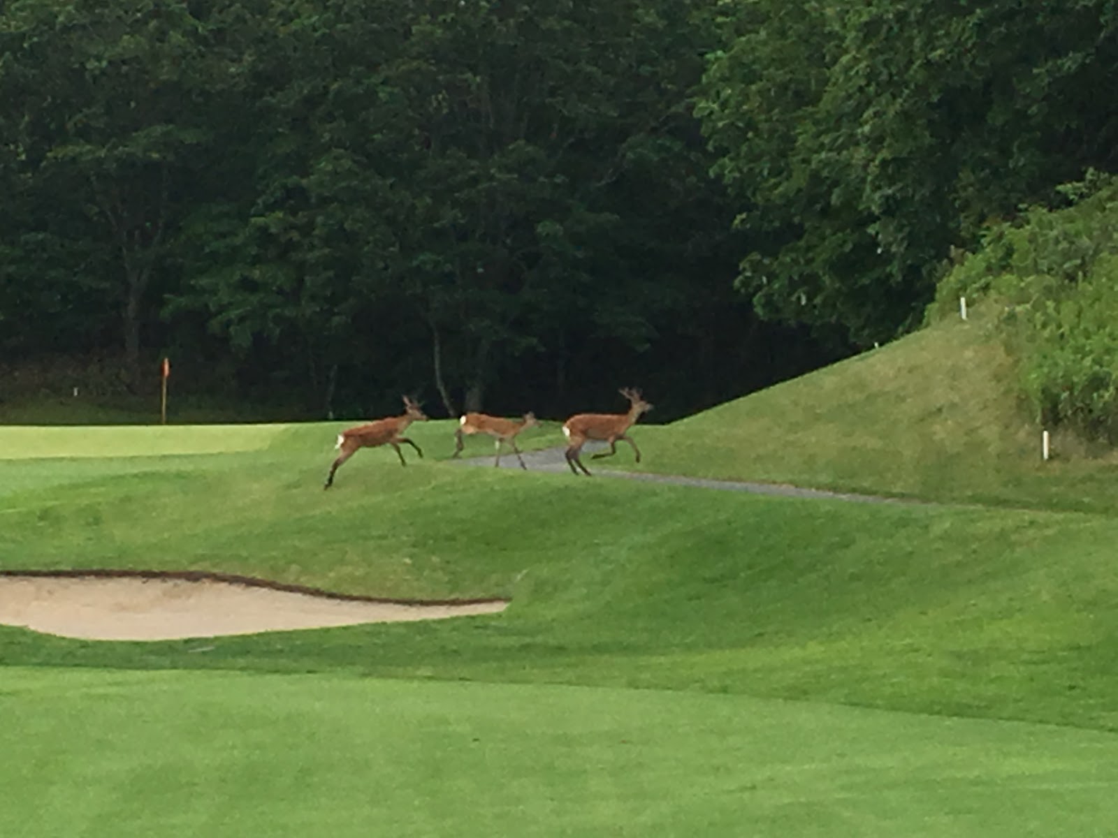 Hokkaido Golf Club - 4