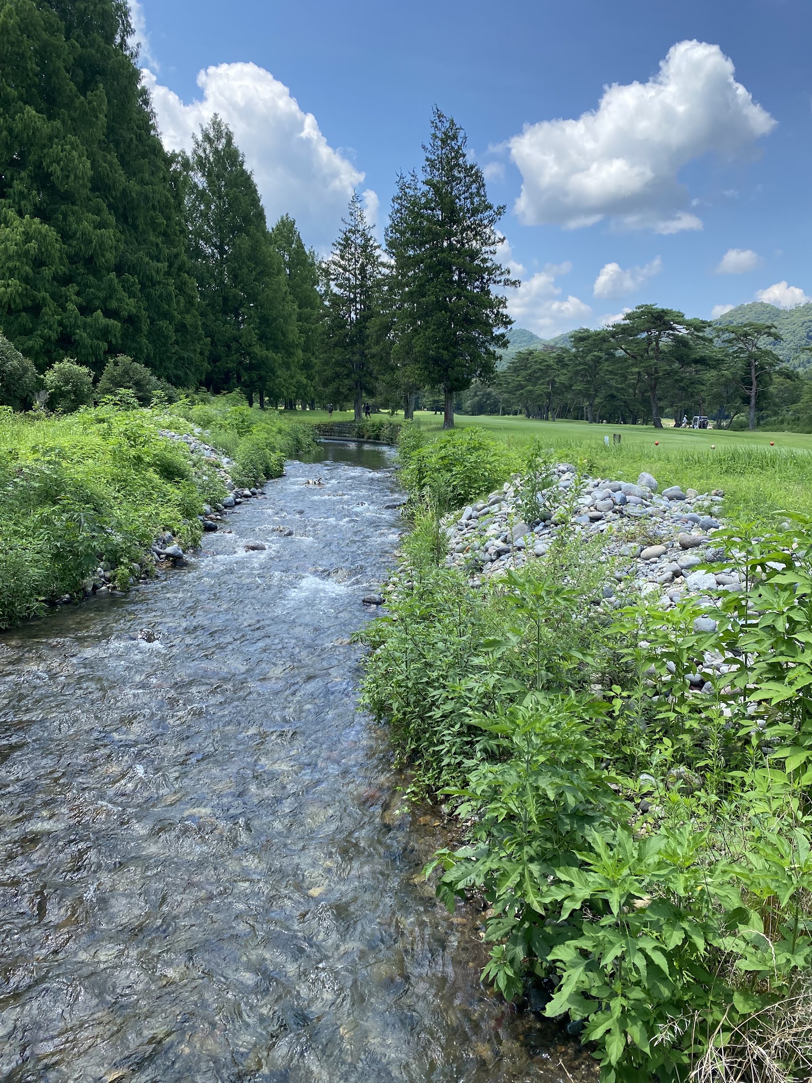 Kinugawa Country Club - 5