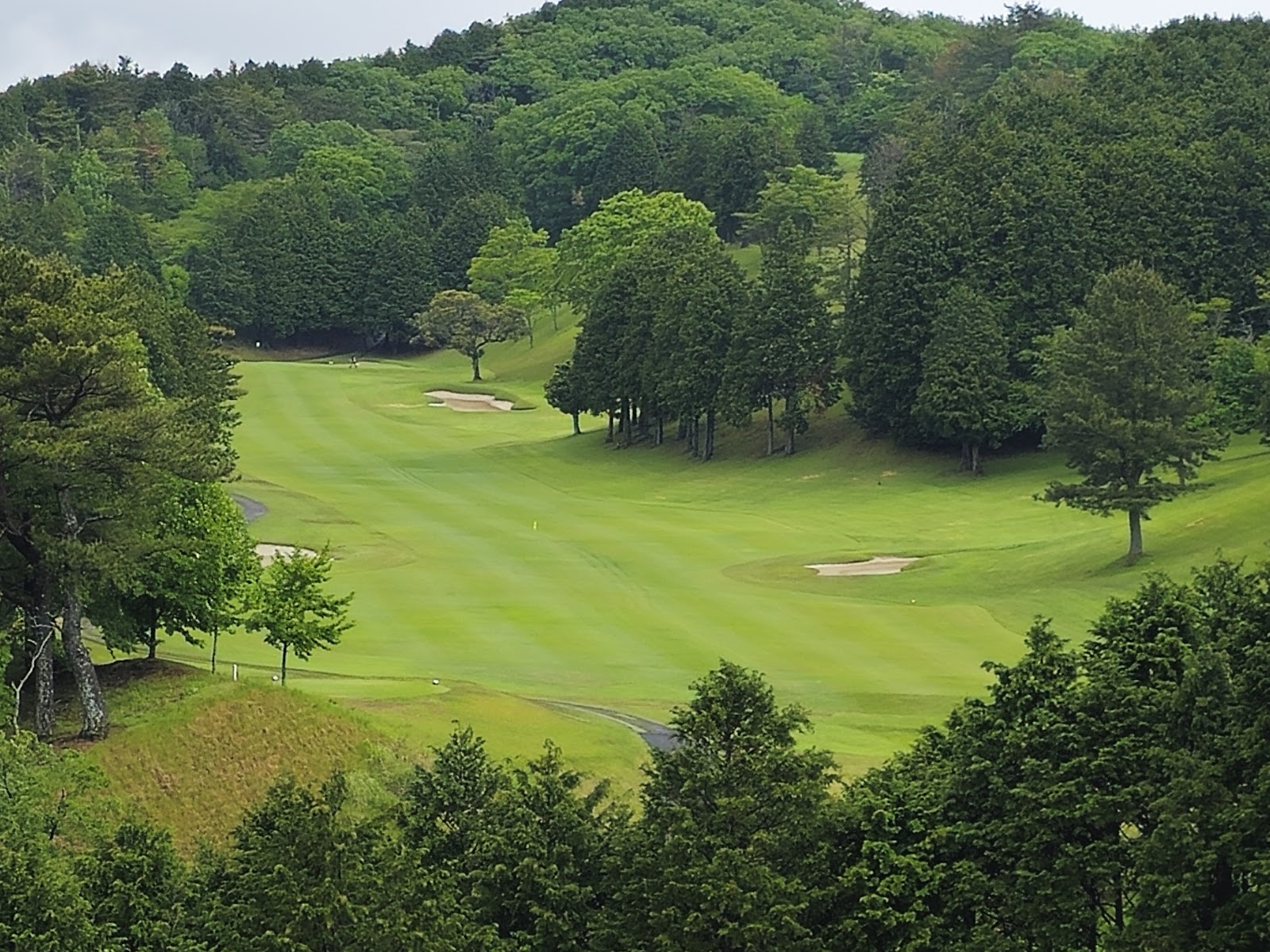 Izu Taini Country Club