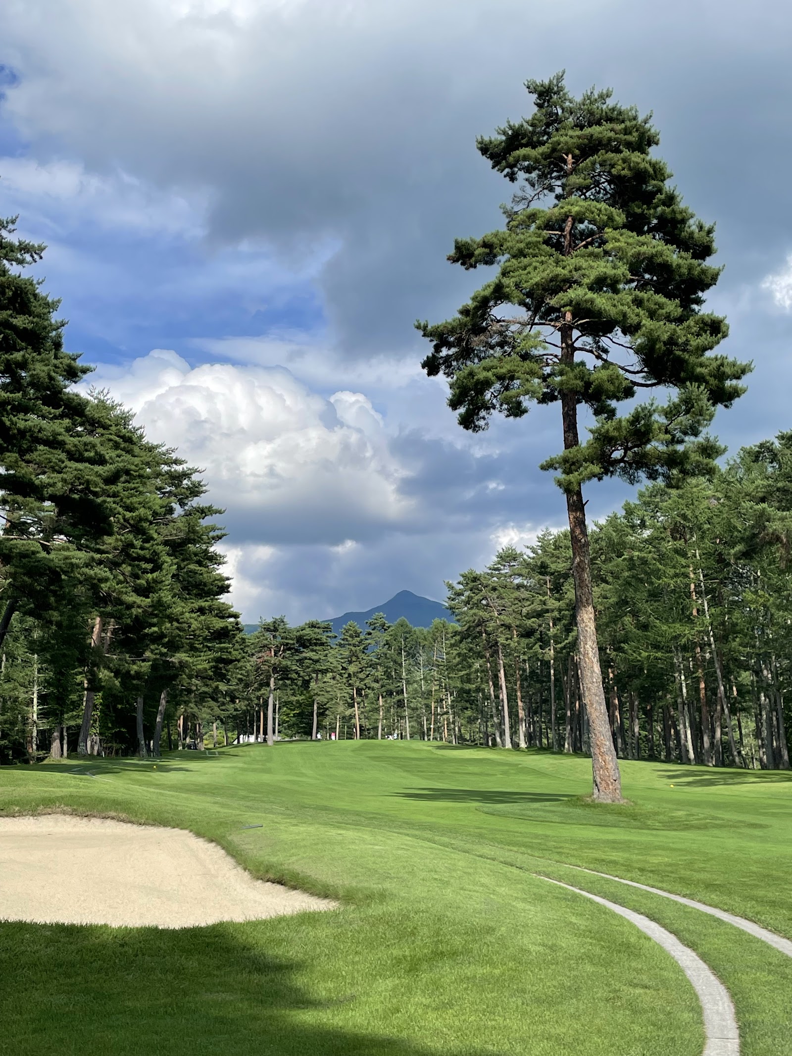 Kashima Minamitateshina Golf Course - 3