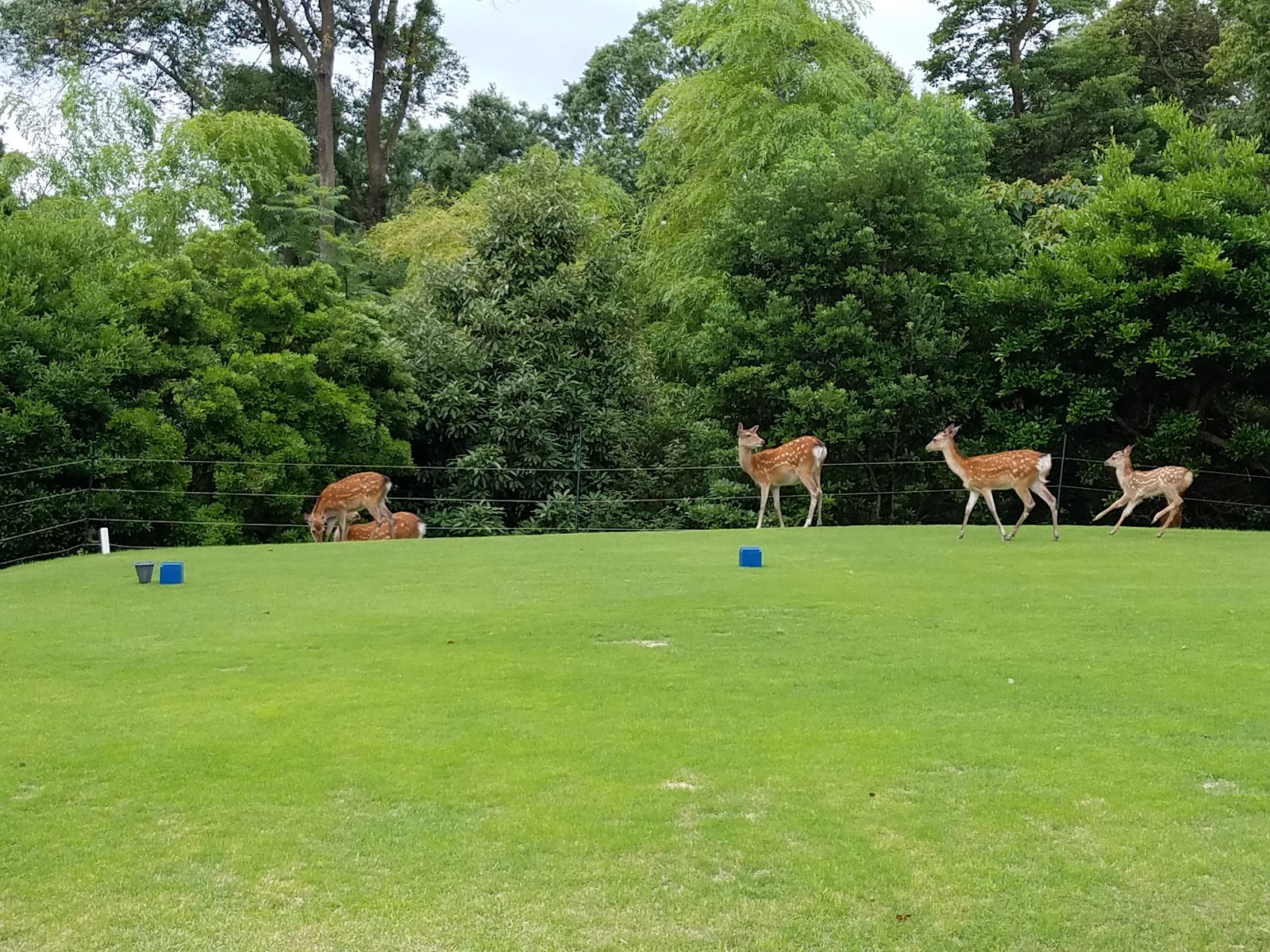 Kannon Kikukawa Golf Club - 3