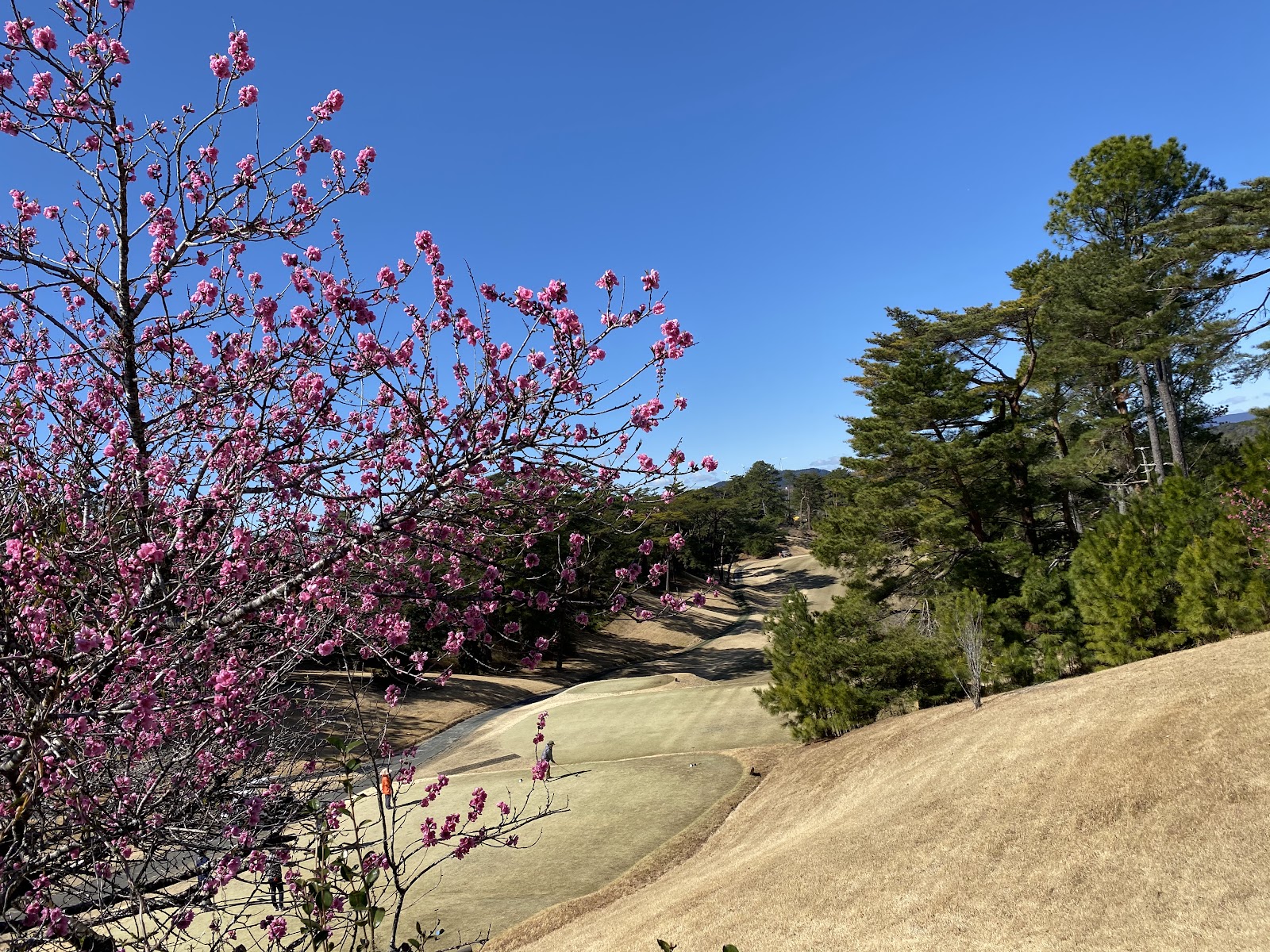 Hamamatsu Country Club - 4